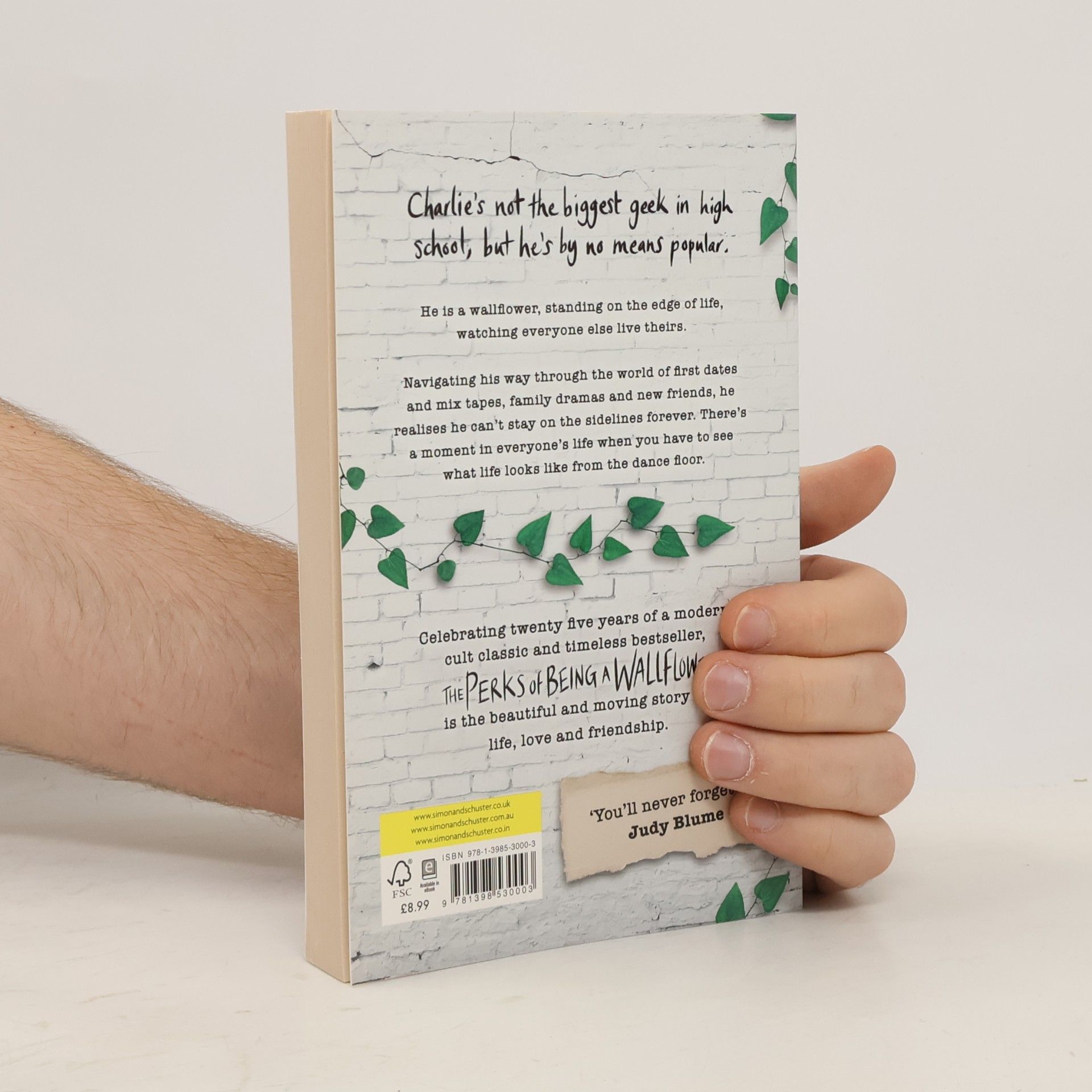 Stephen Chbosky The Perks of Being a Wallflower YA Edition