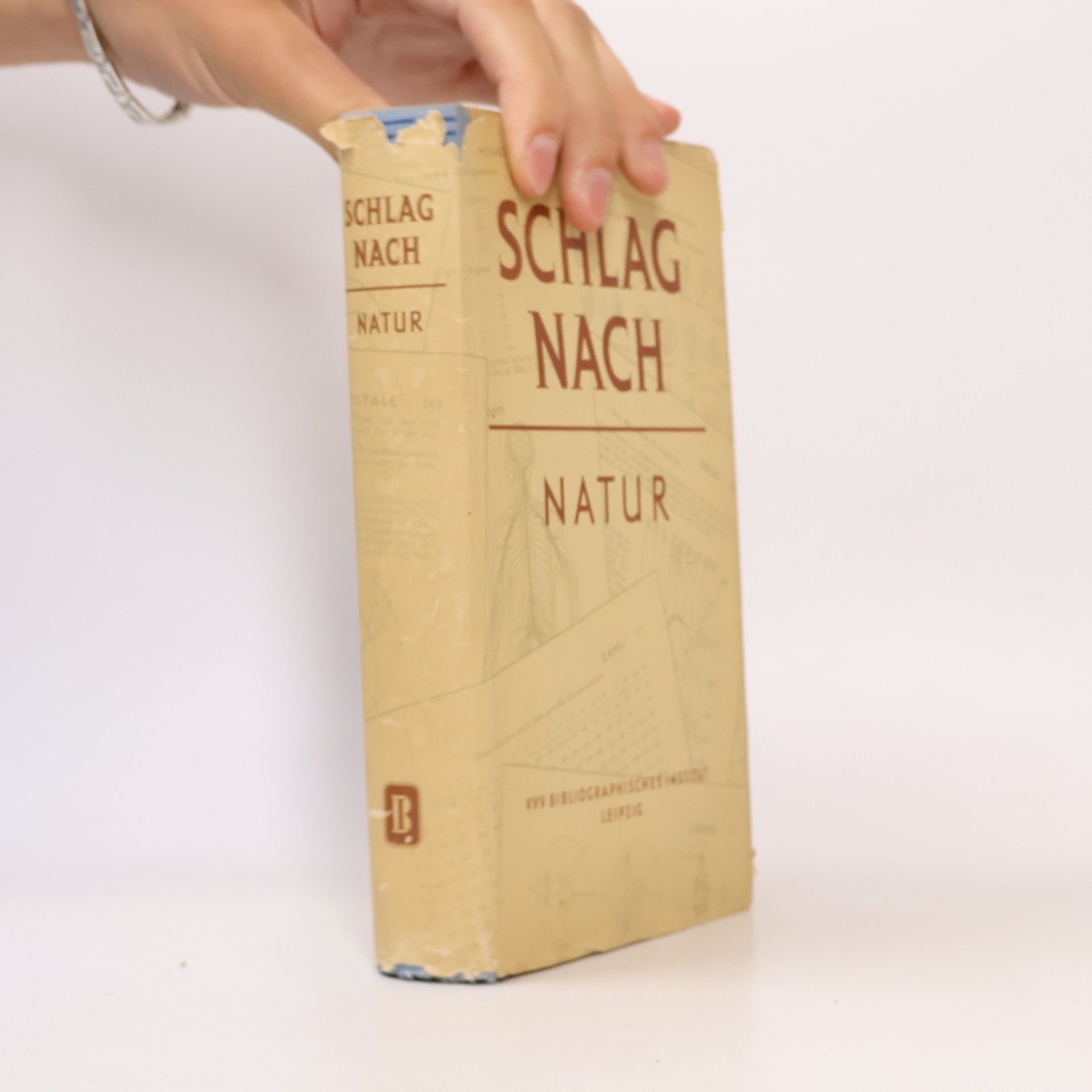 Autorenkollektiv Schlag nach Natur