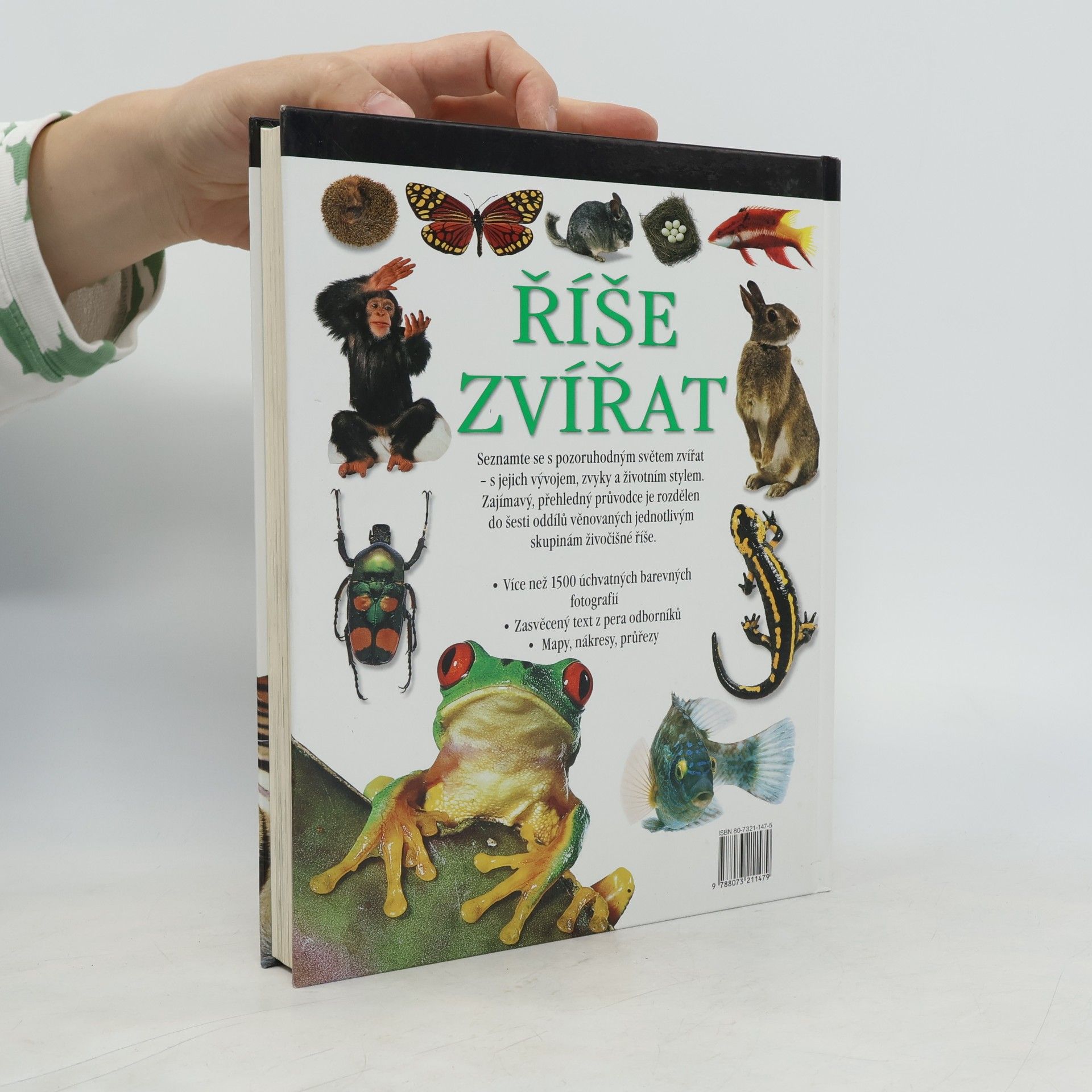 Autorenkollektiv Říše zvířat