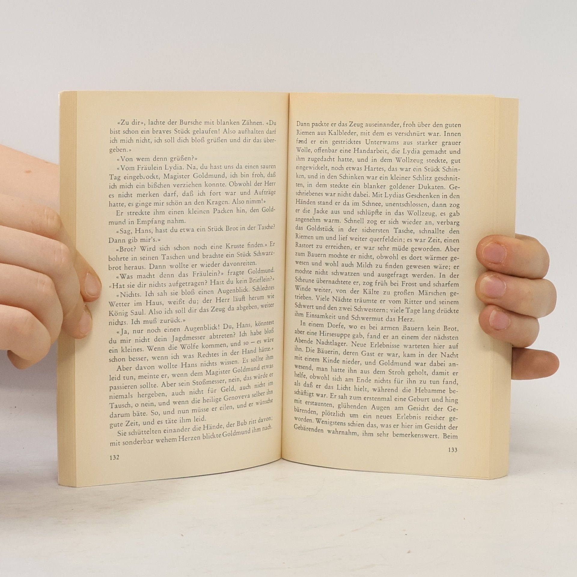 Hermann Hesse Narziß und Goldmund