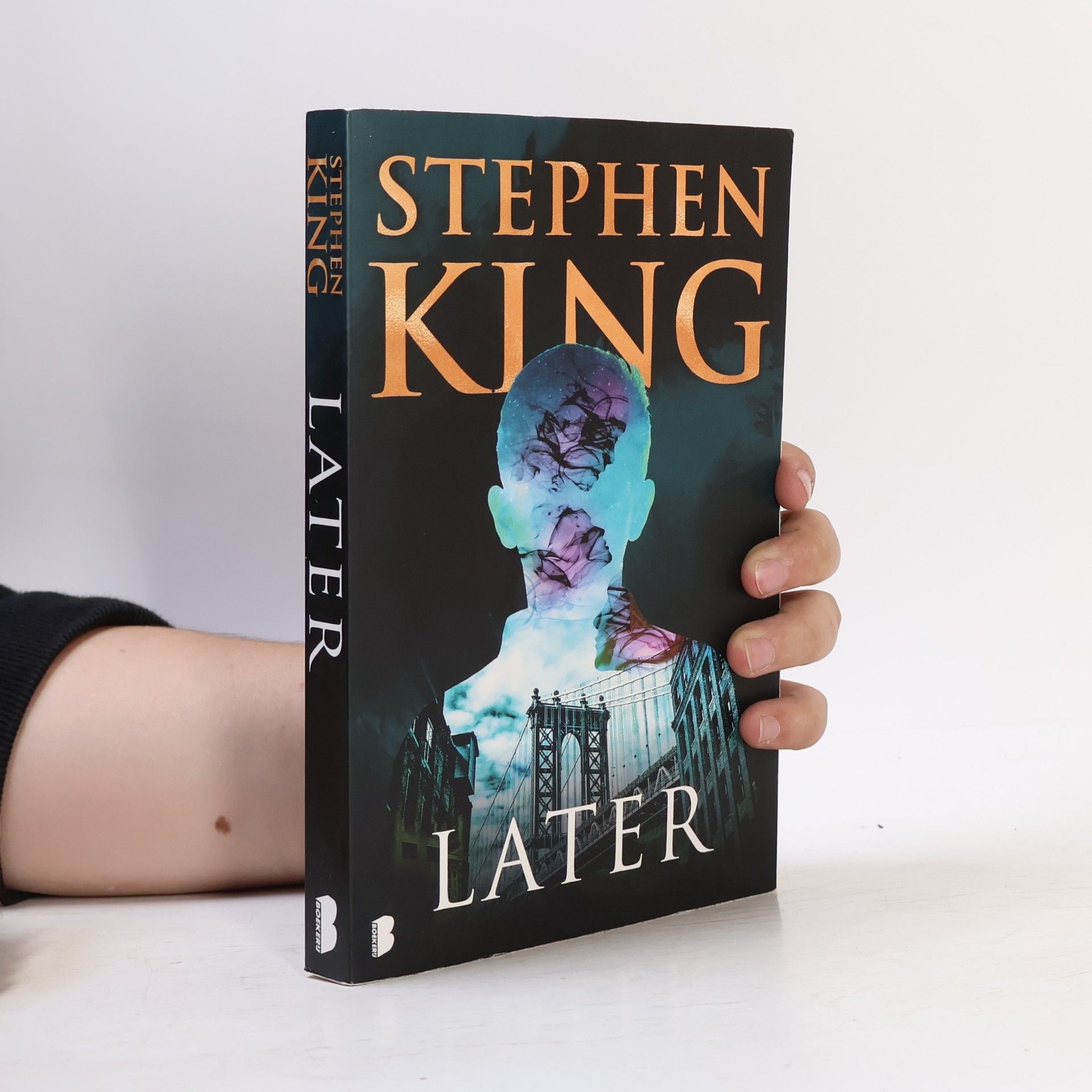 Stephen King Later