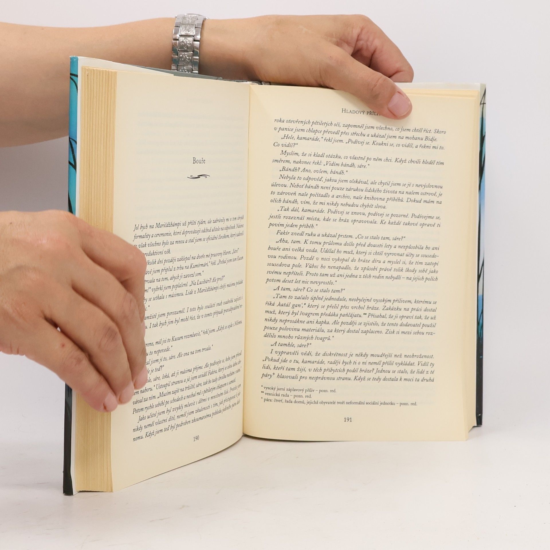 Amitav Ghosh Hladový příliv