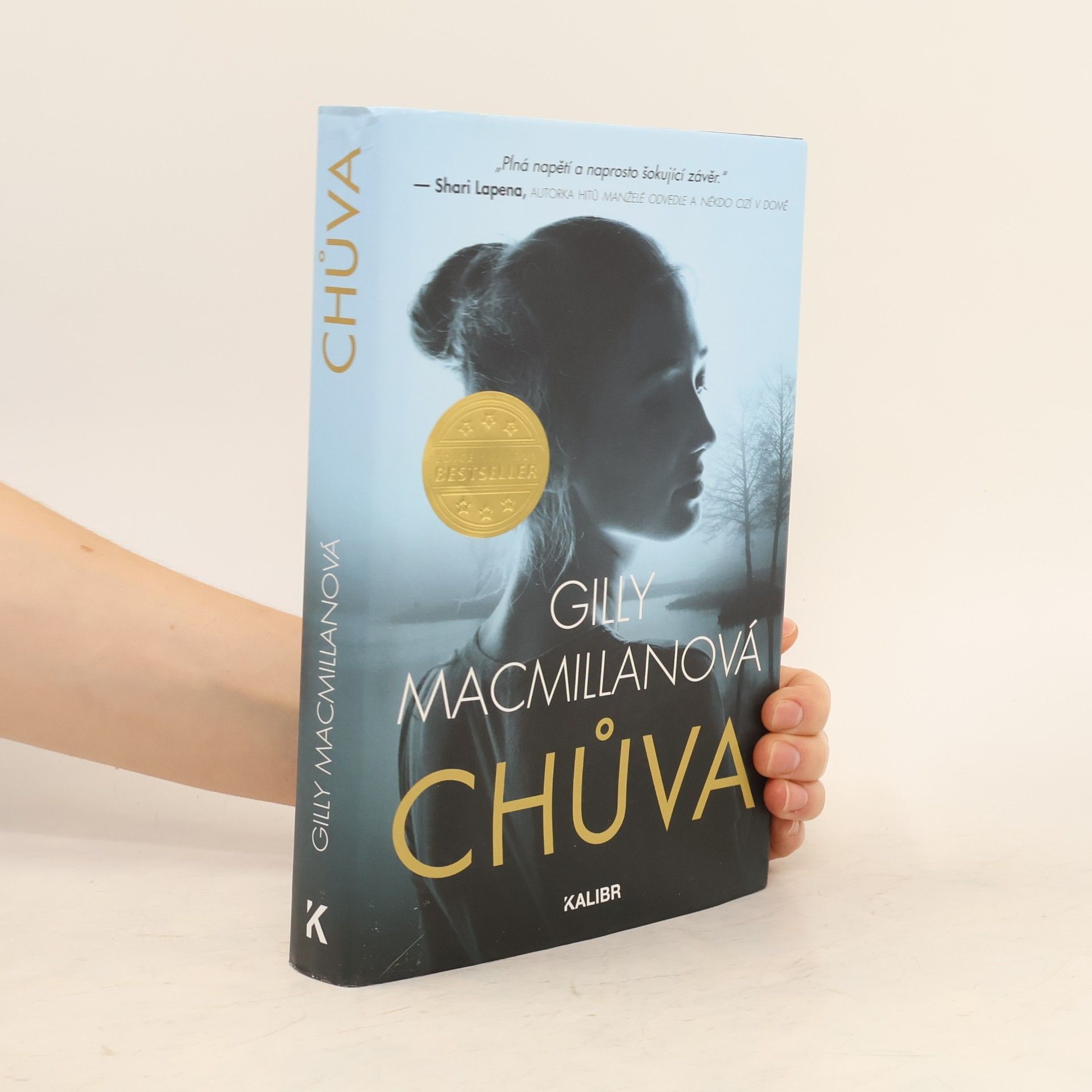 Gilly Macmillan Chůva