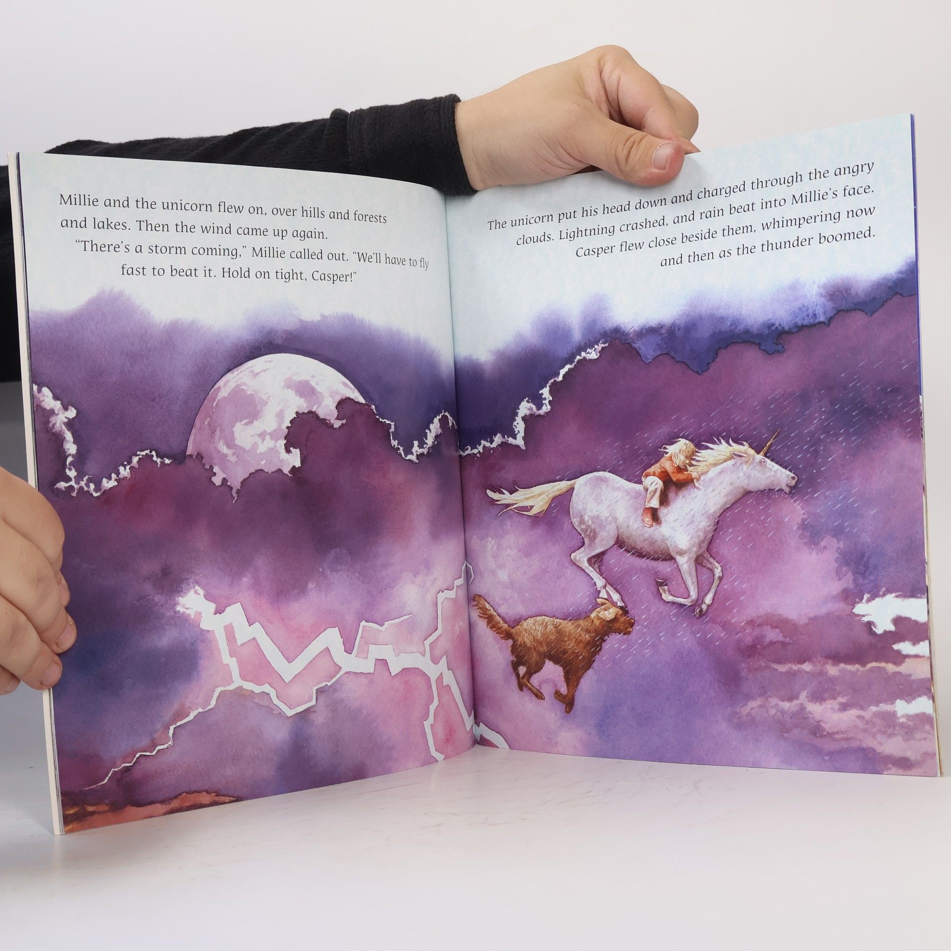 Neil Reed The Midnight Unicorn