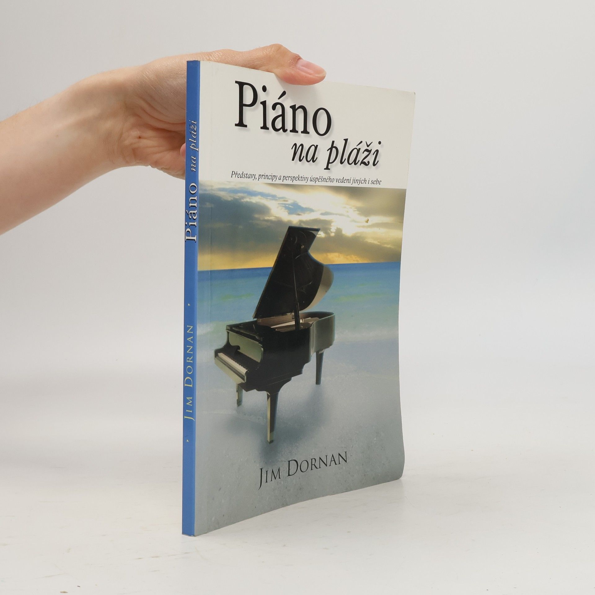 Jim Dornan Piáno na pláži