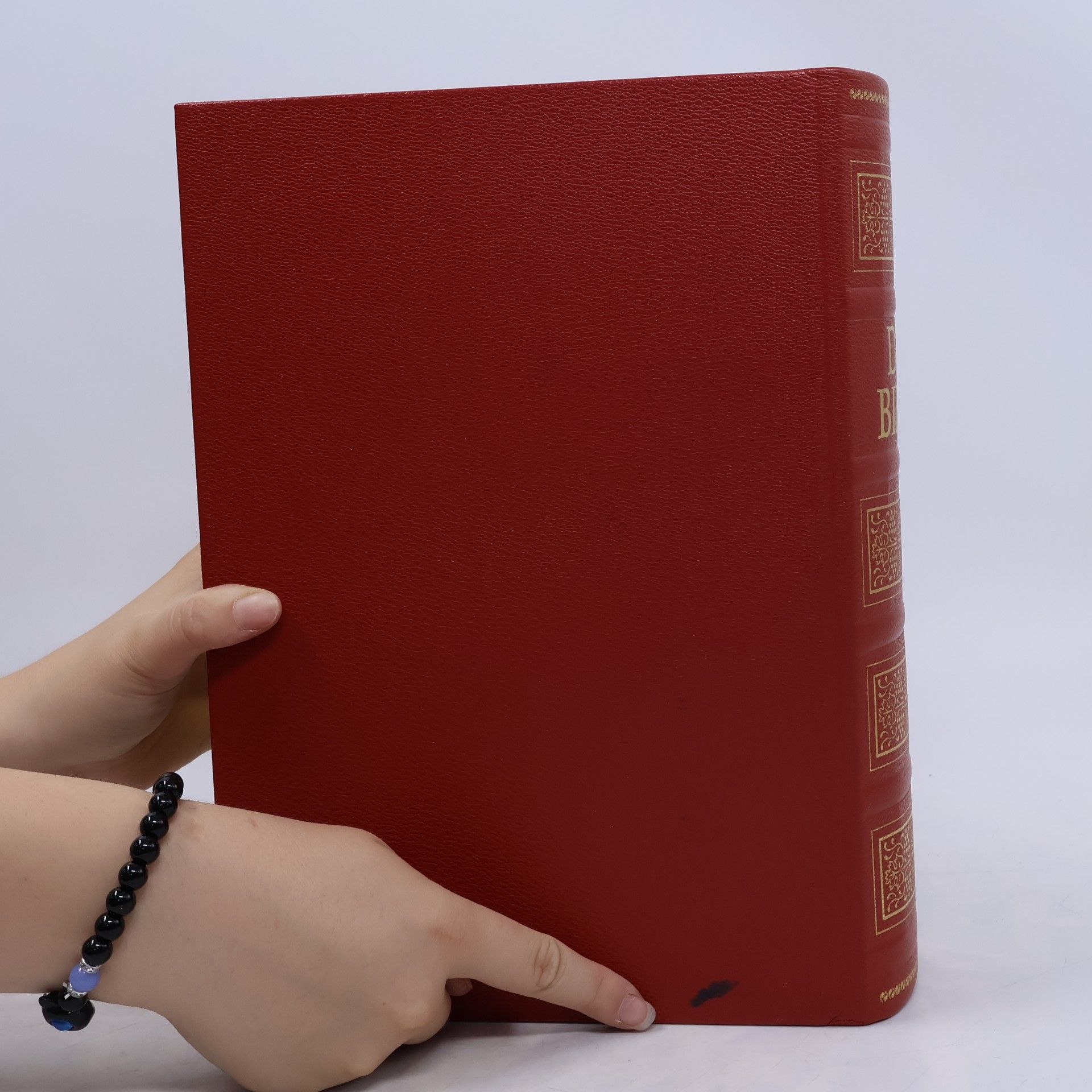 Collectif d'auteurs Die Bibel