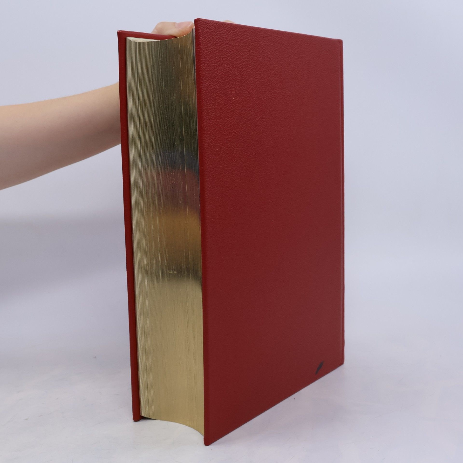 Collectif d'auteurs Die Bibel