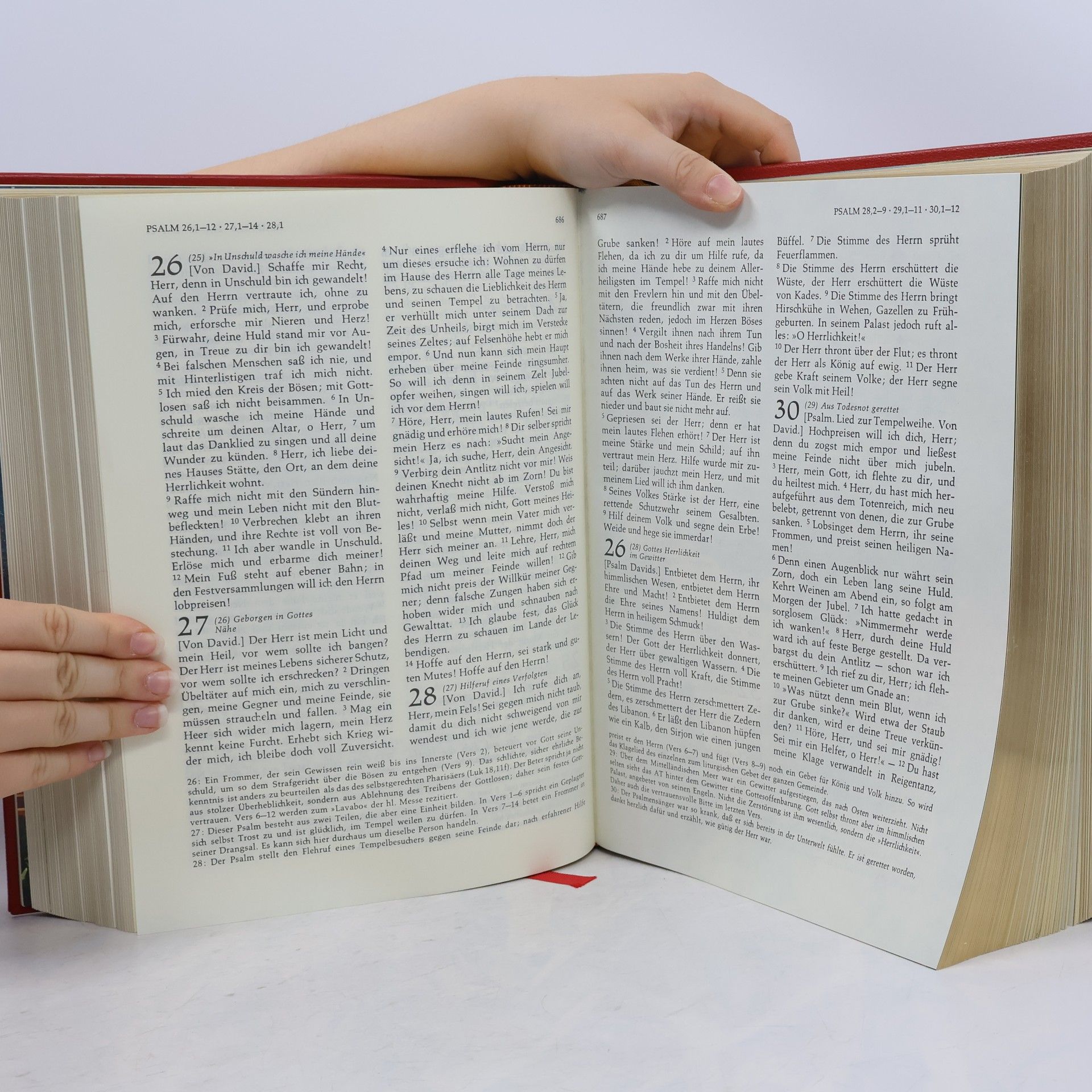 Collectif d'auteurs Die Bibel