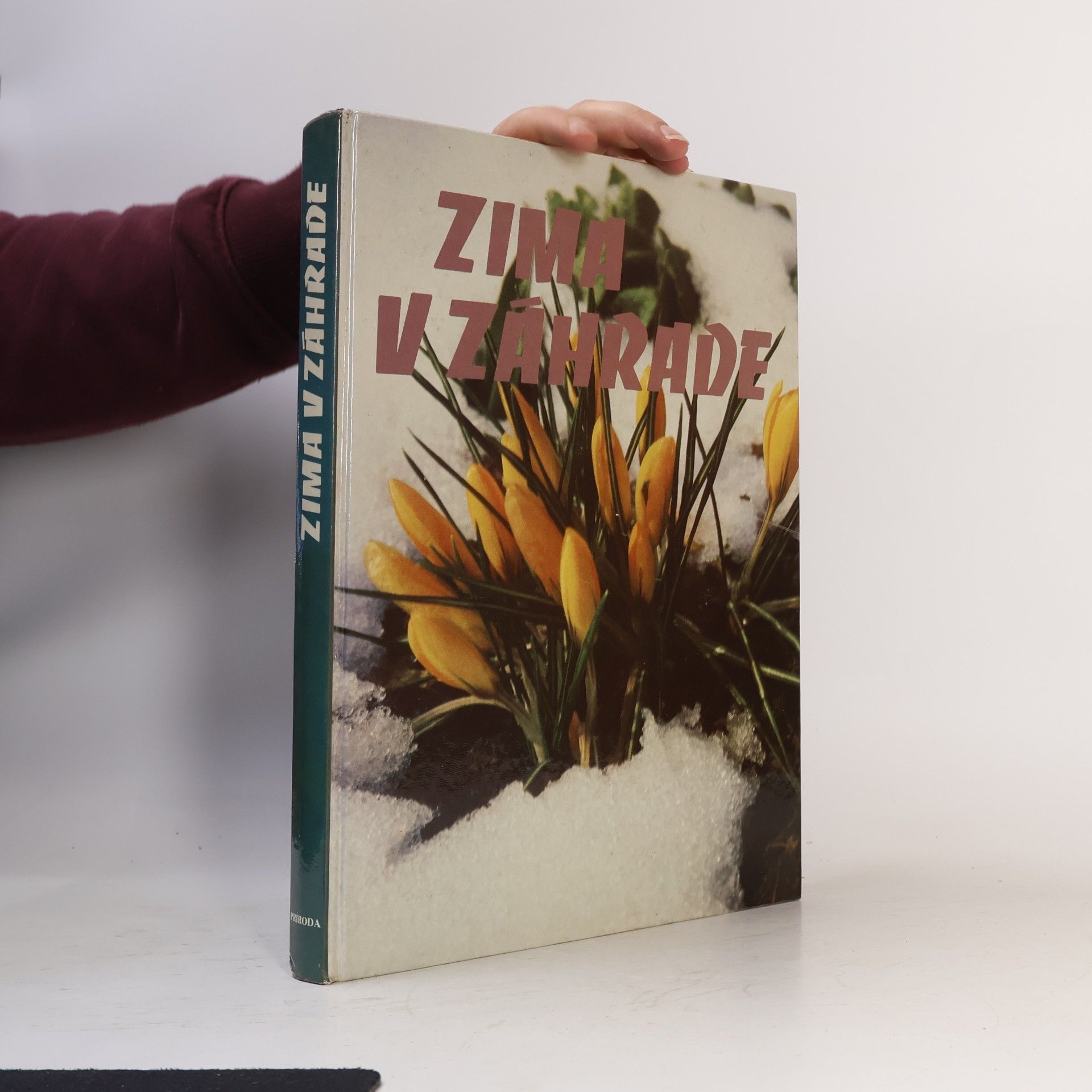 Katarína Šafáriková Zima v záhrade