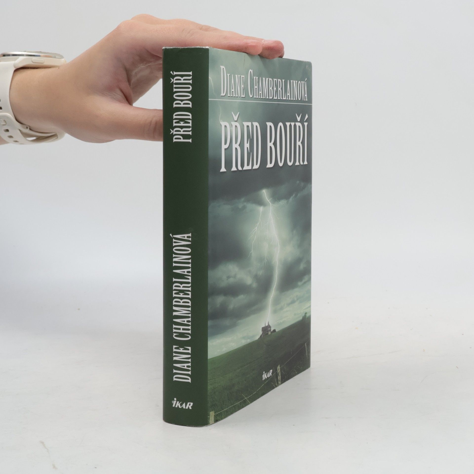 Diane Chamberlain Před bouří