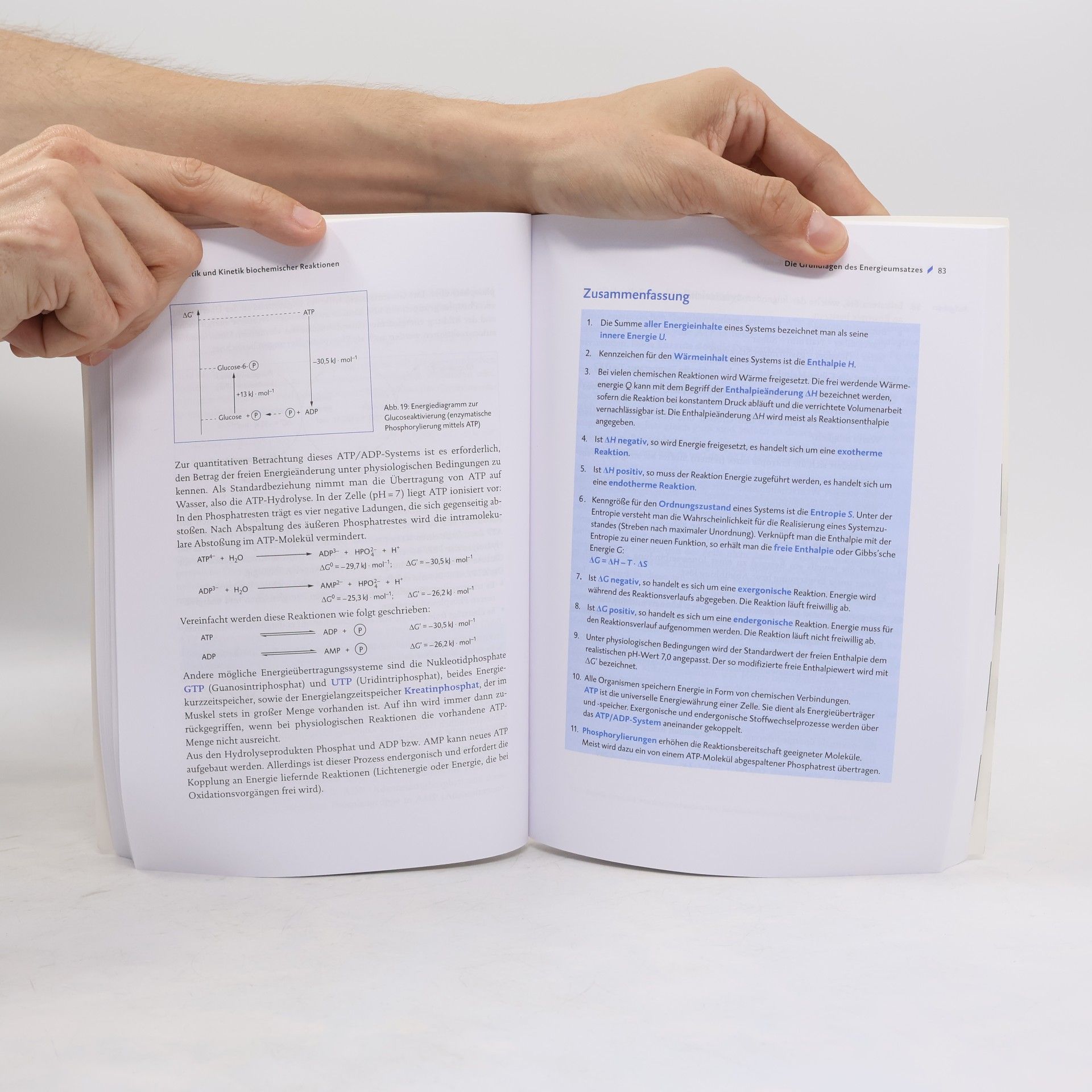 Harald Becker Chemie 2, Leistungskurs