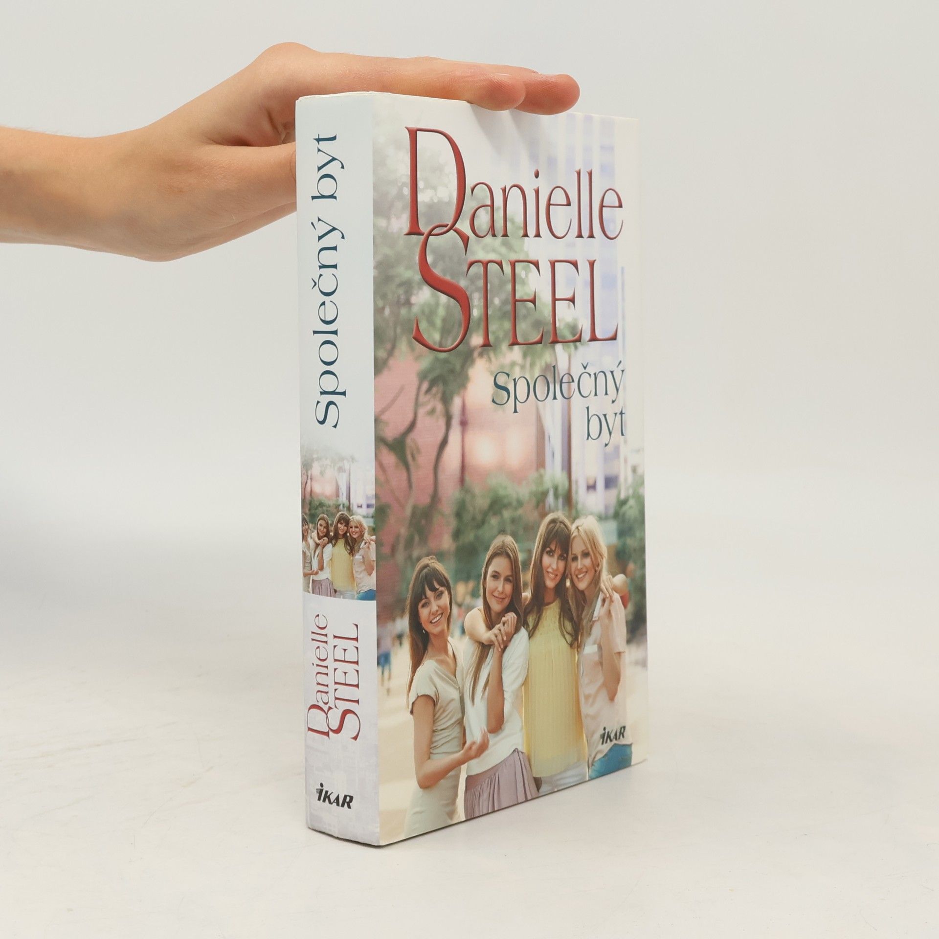 Danielle Steel Společný byt