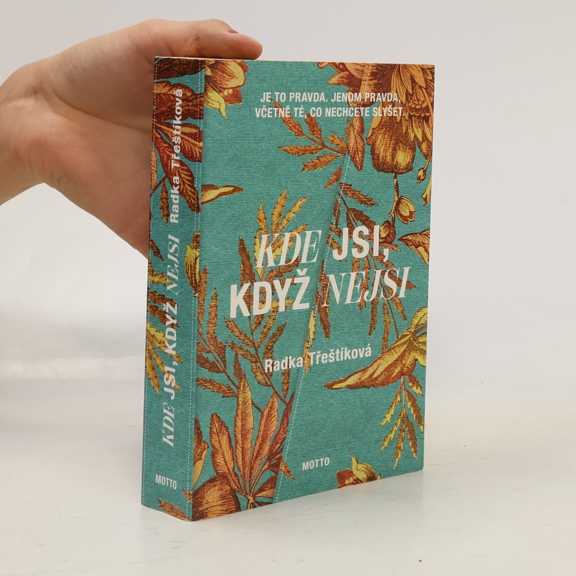 Radka Třeštíková Kde jsi, když nejsi