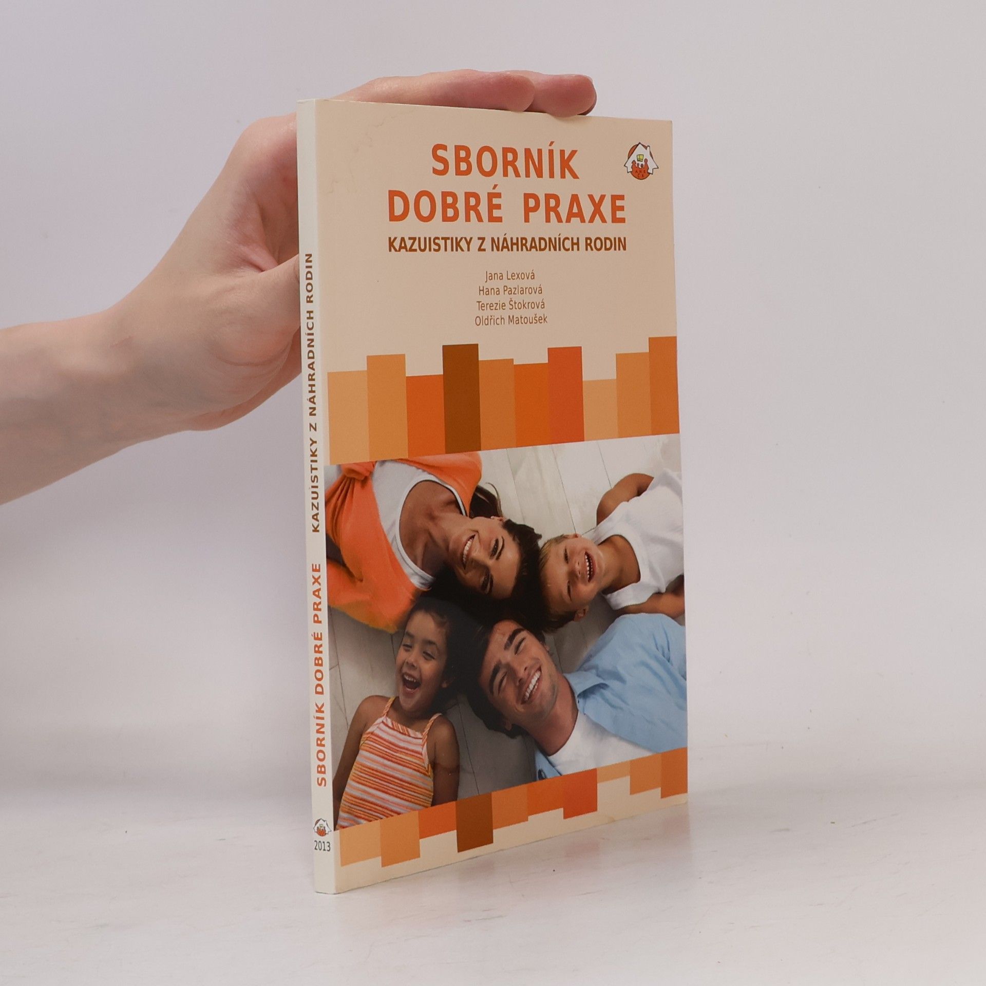 Terezie Štokrová Sborník dobré praxe. Kazuistiky z náhradních rodin