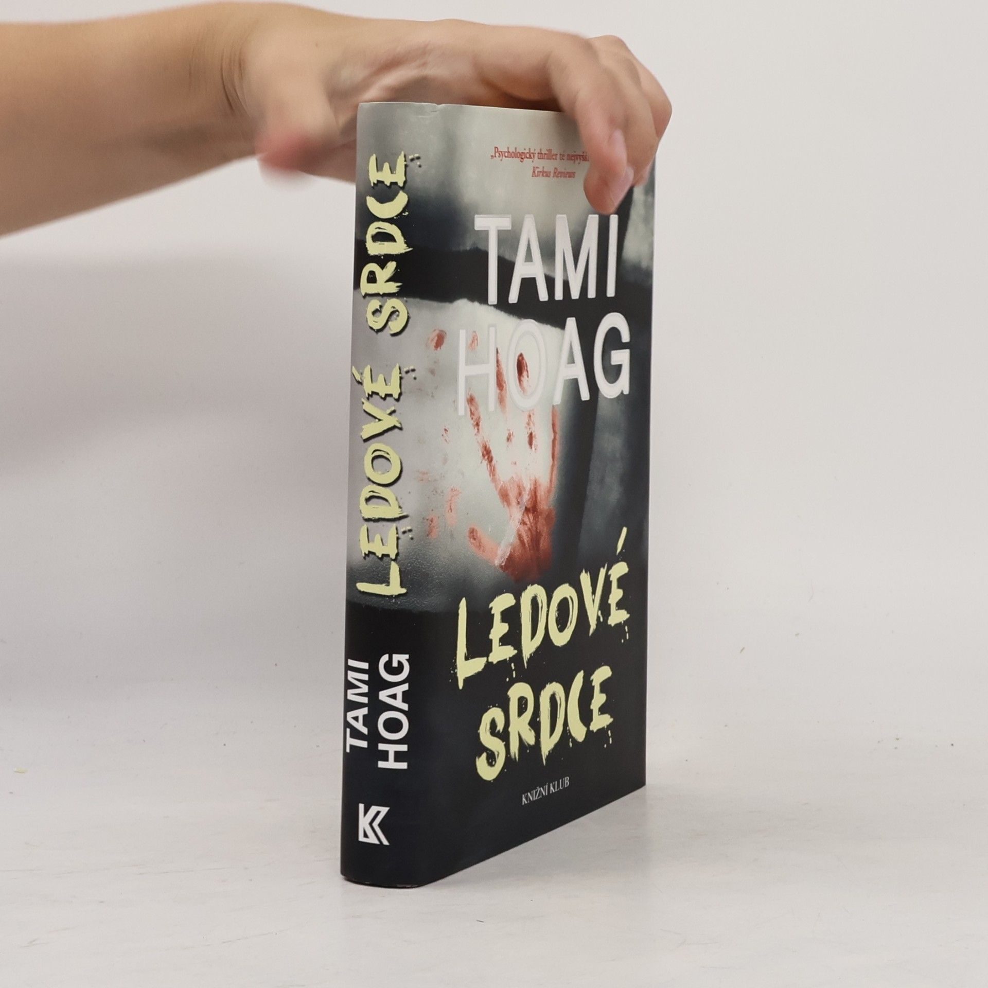 Tami Hoag Ledové srdce