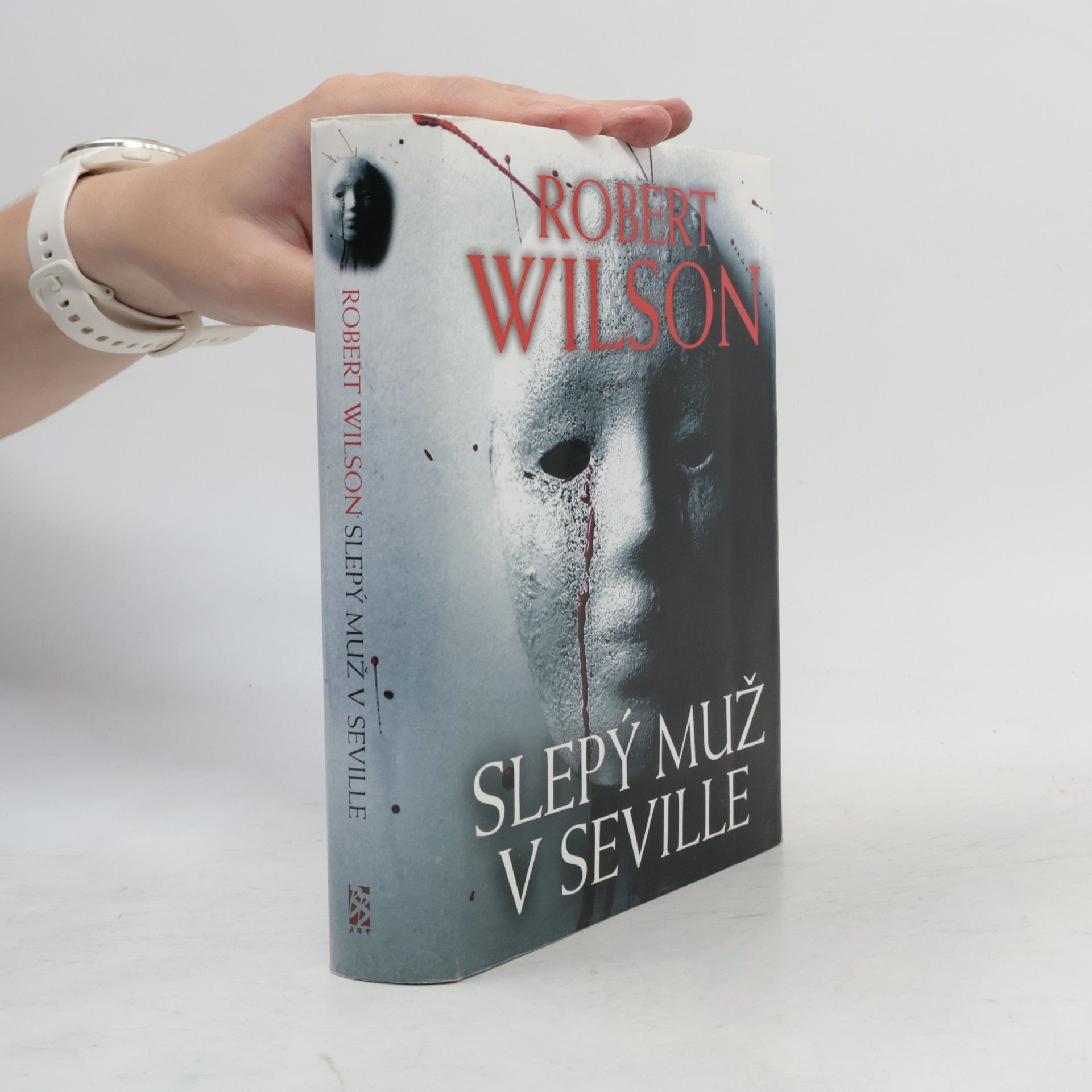 Robin Wilson Slepý muž v Seville