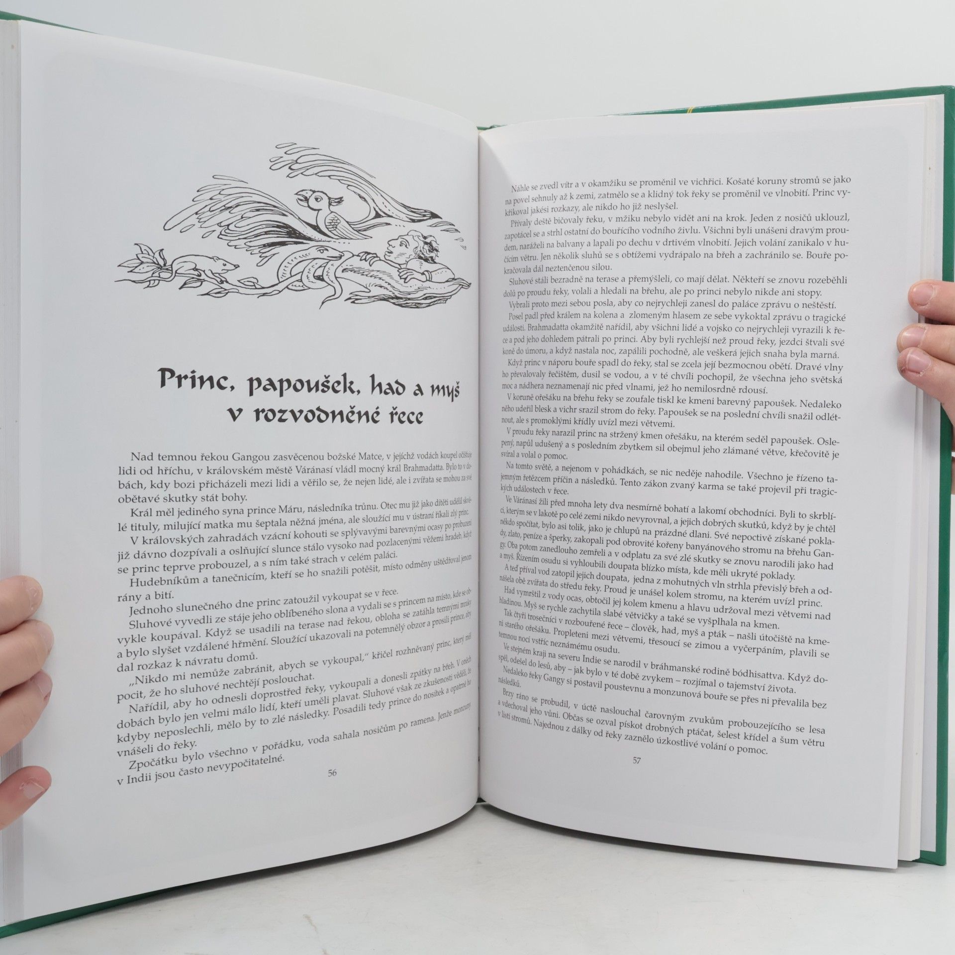 Jaromír Skřivánek Kouzelný hadí kámen. Pohádky z kraje pod Himálajem