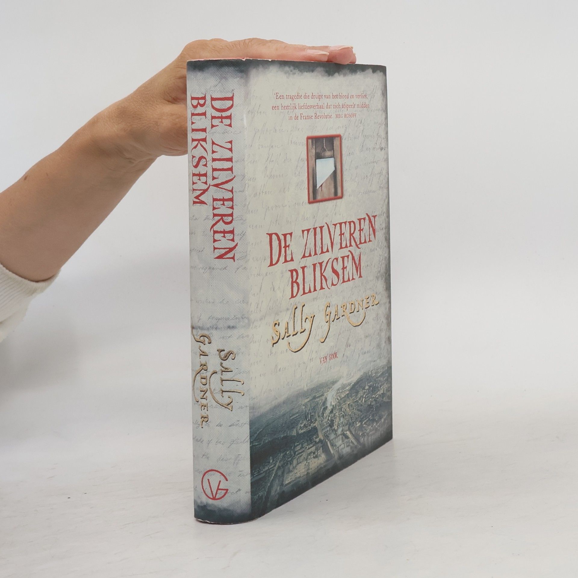 Sally Gardner De zilveren bliksem