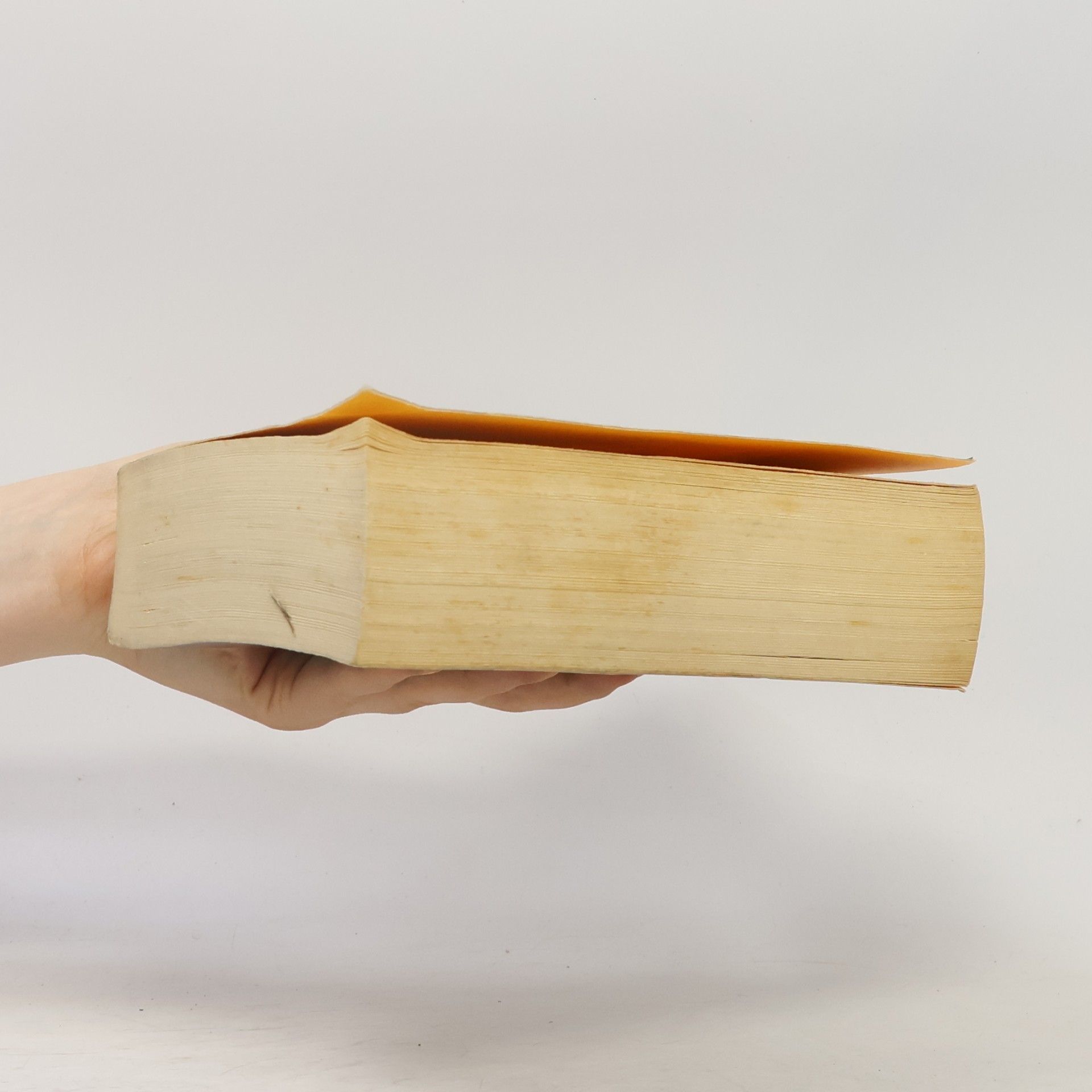 Stephenie Meyer Biss zur Mittagsstunde