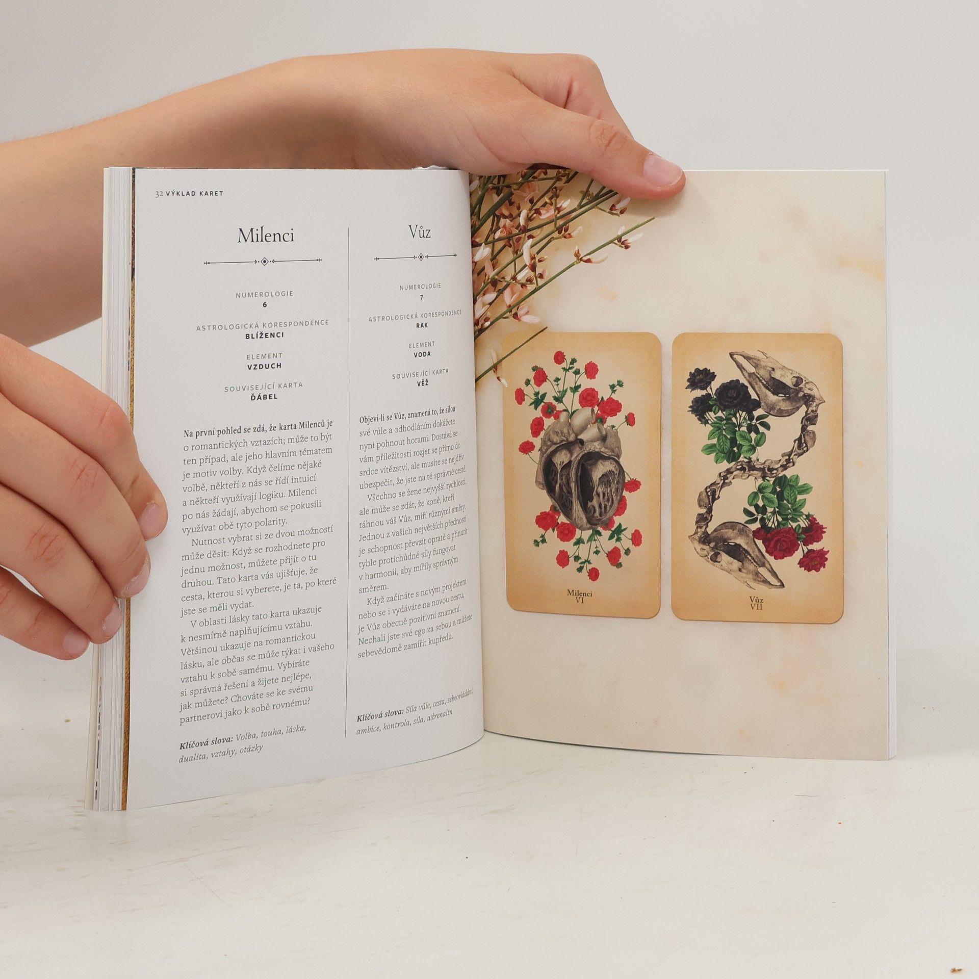 Claire Goodchild Starobylá anatomie tarotu : karty a průvodce moderního věštce