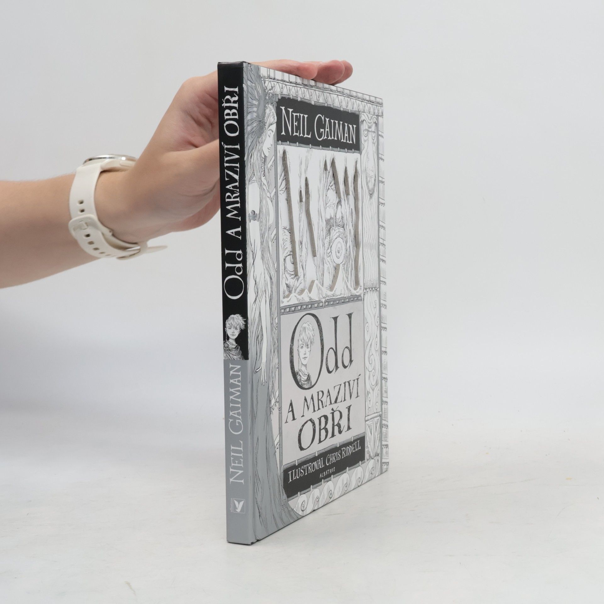 Neil Gaiman Odd a mraziví obři