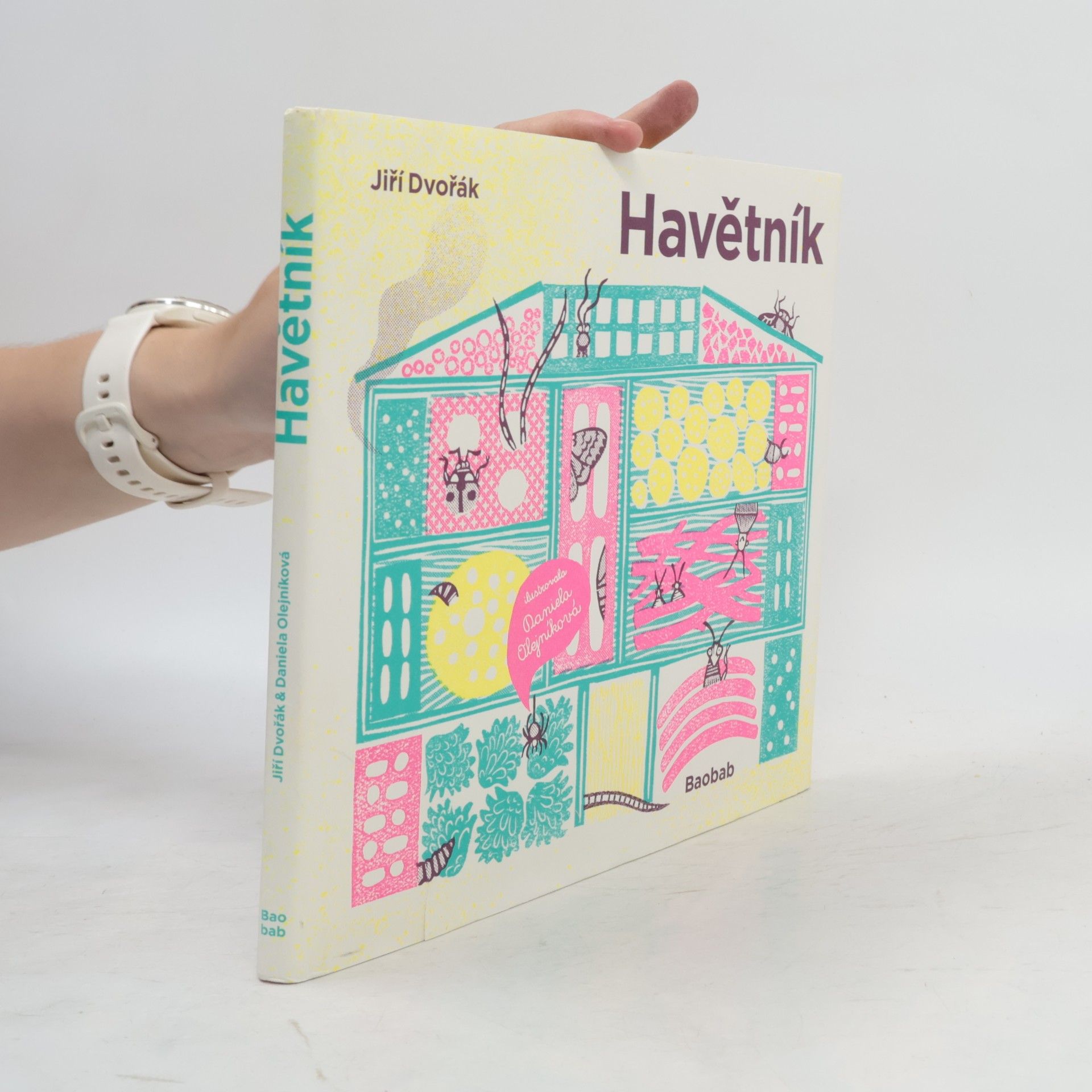Jiří Dvořák Havětník
