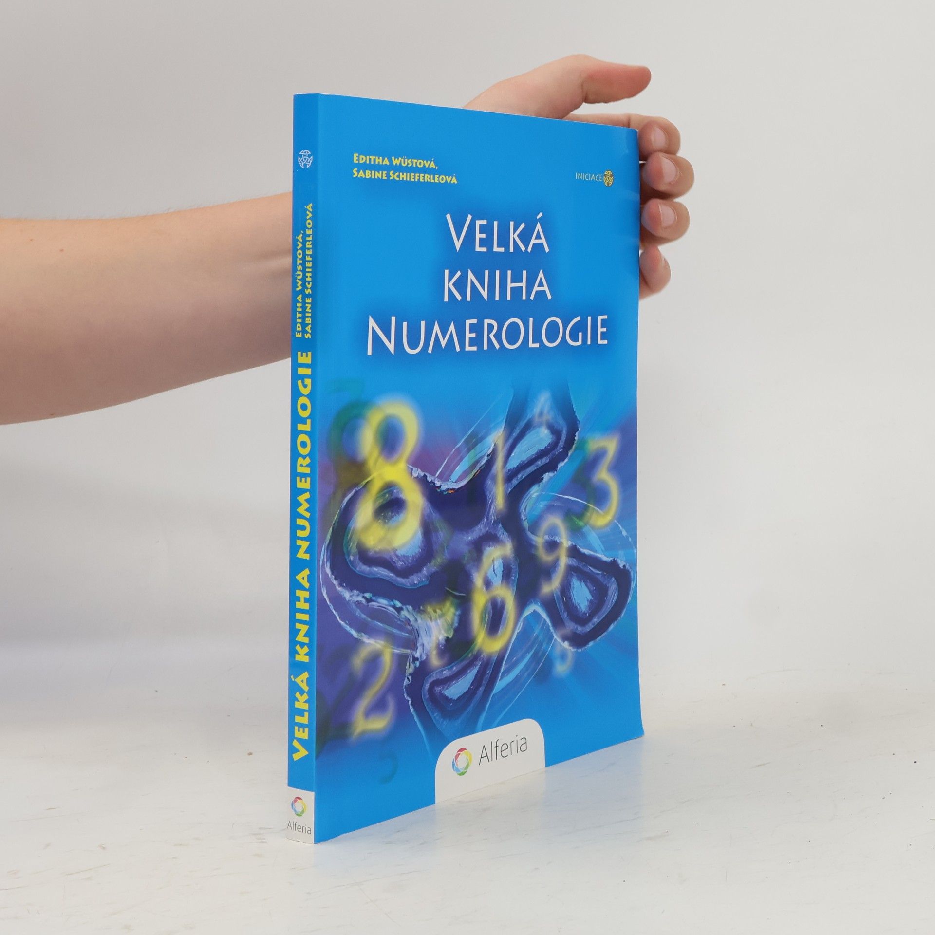 Editha Wüst Velká kniha numerologie