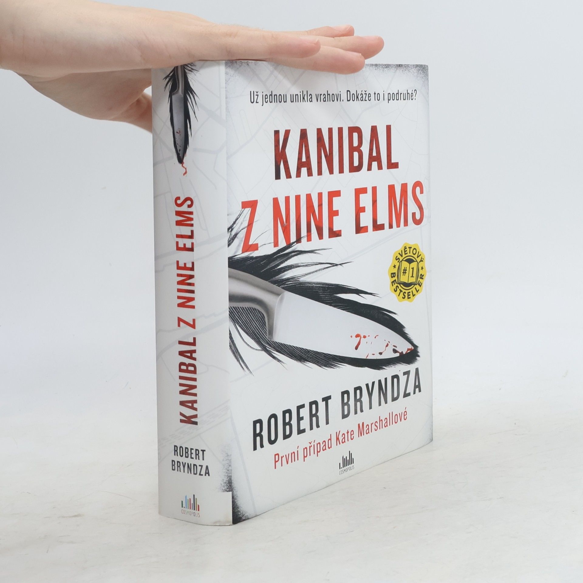 Robert Bryndza Kanibal z Nine Elms