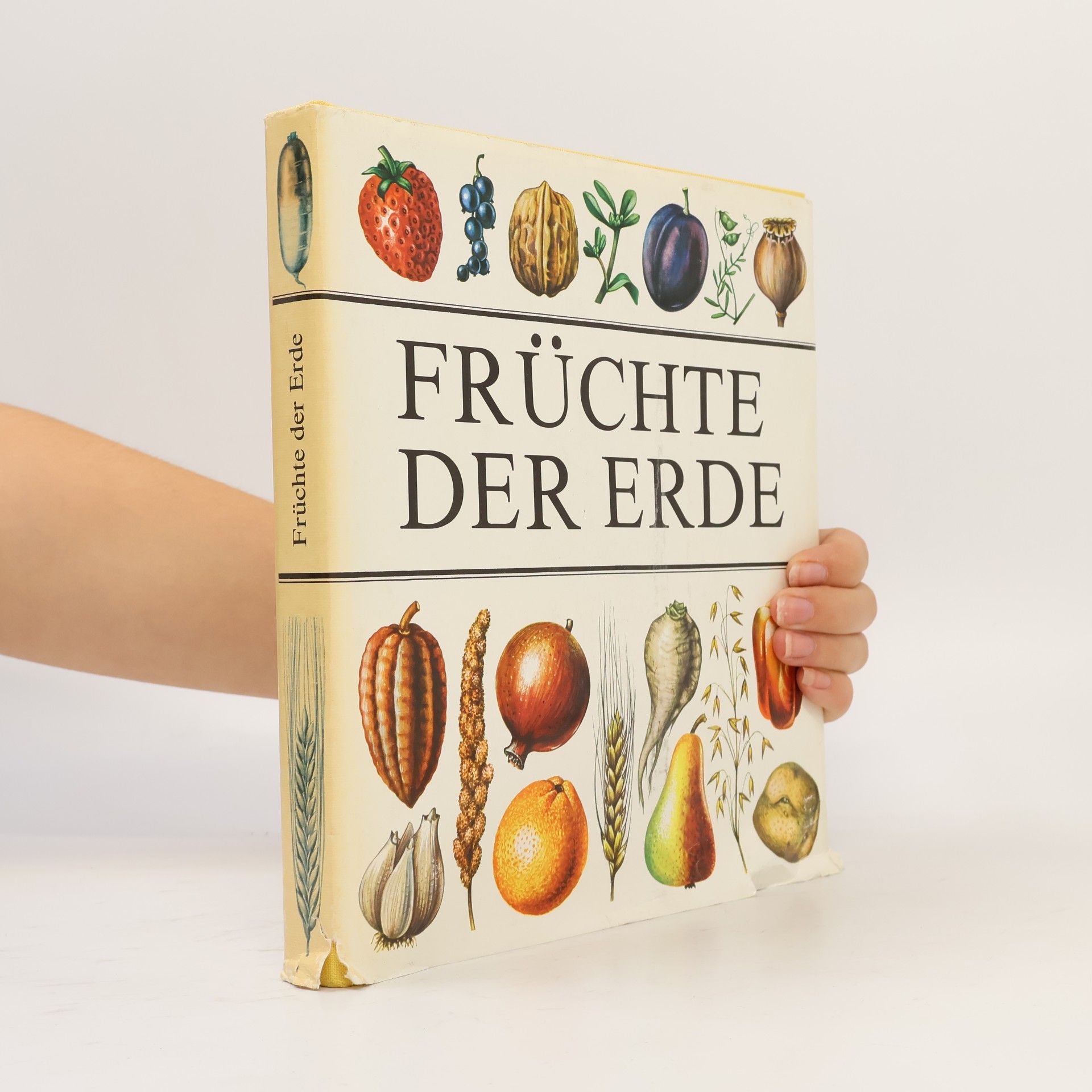 Autorenkollektiv Früchte der Erde