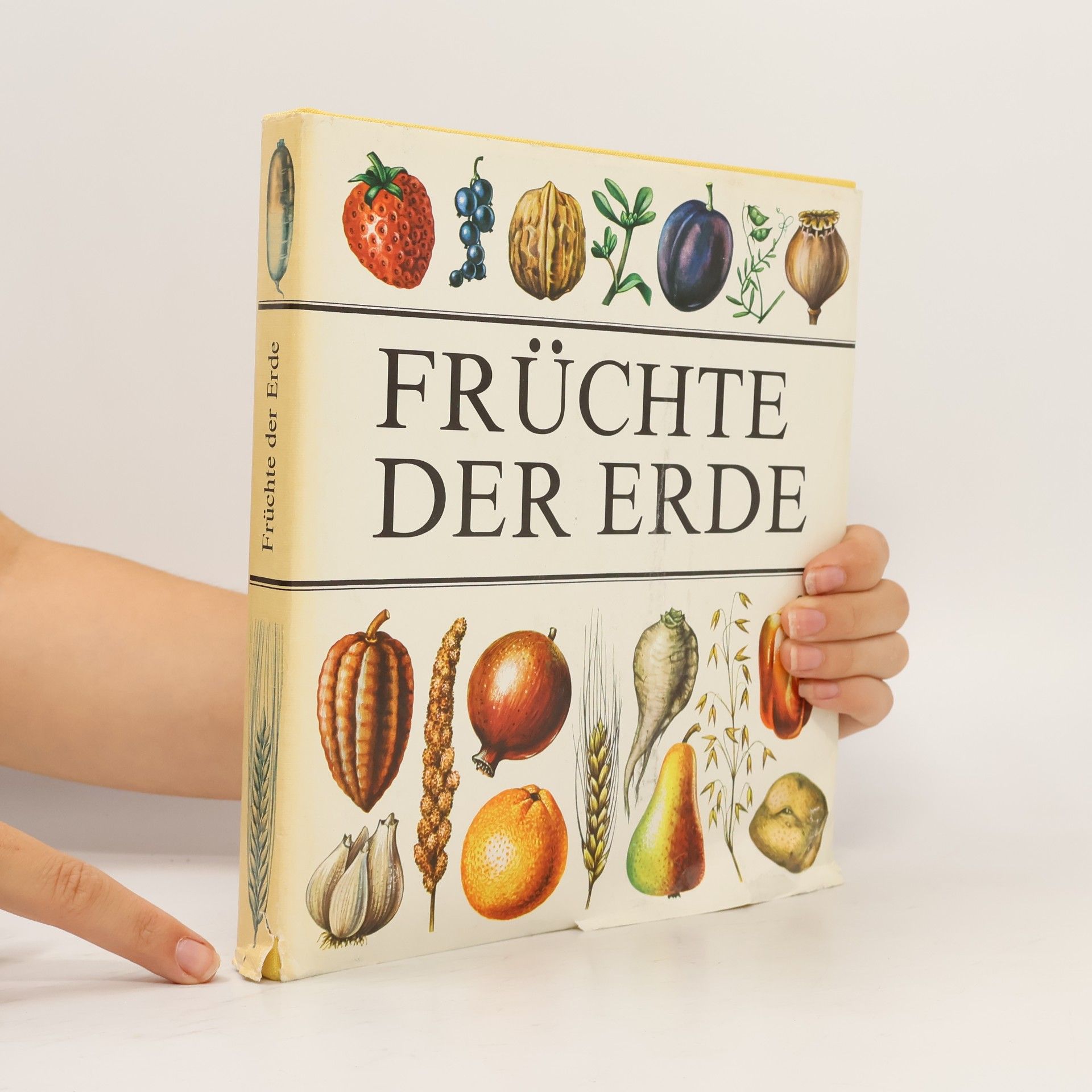 Autorenkollektiv Früchte der Erde