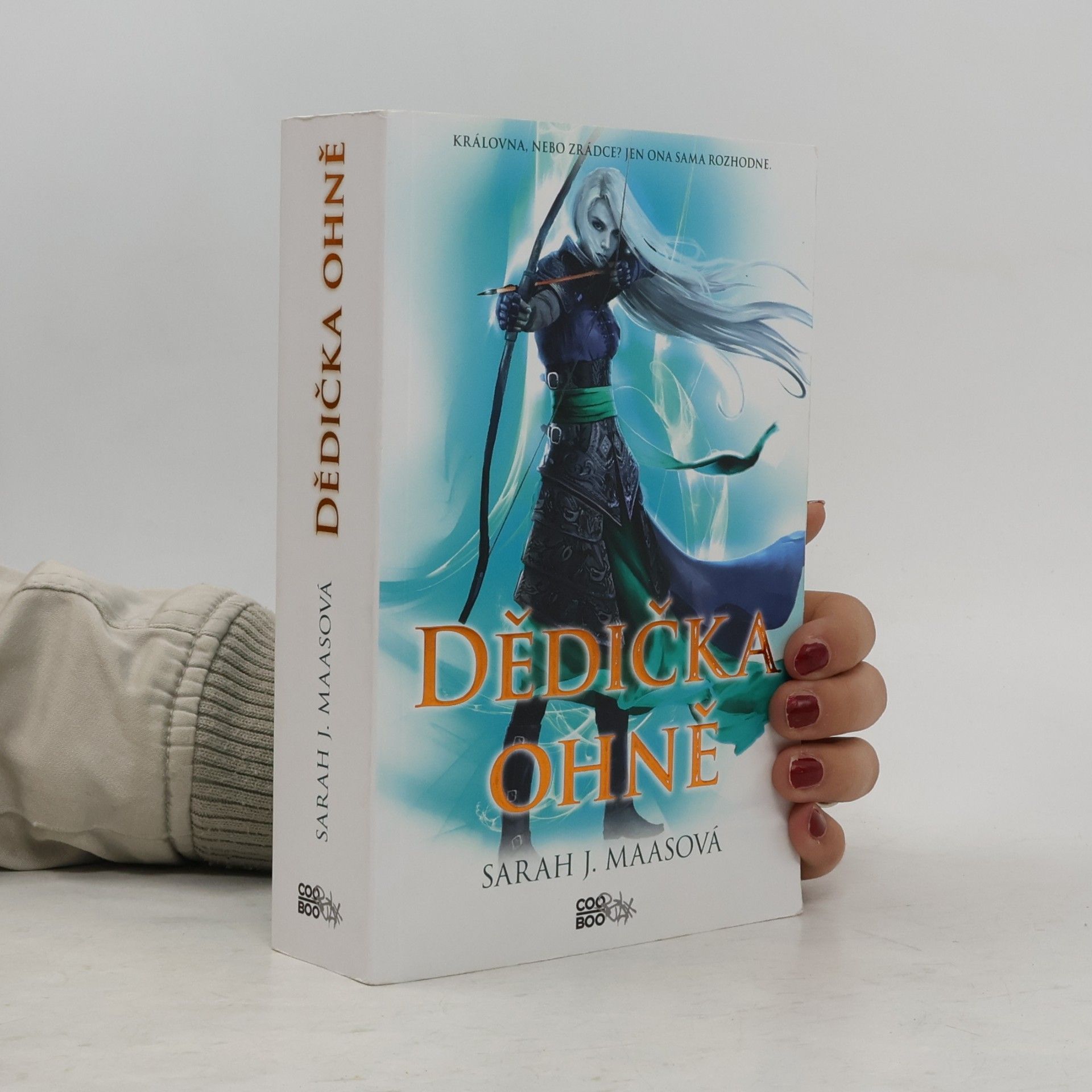 Sarah J. Maas Dědička ohně