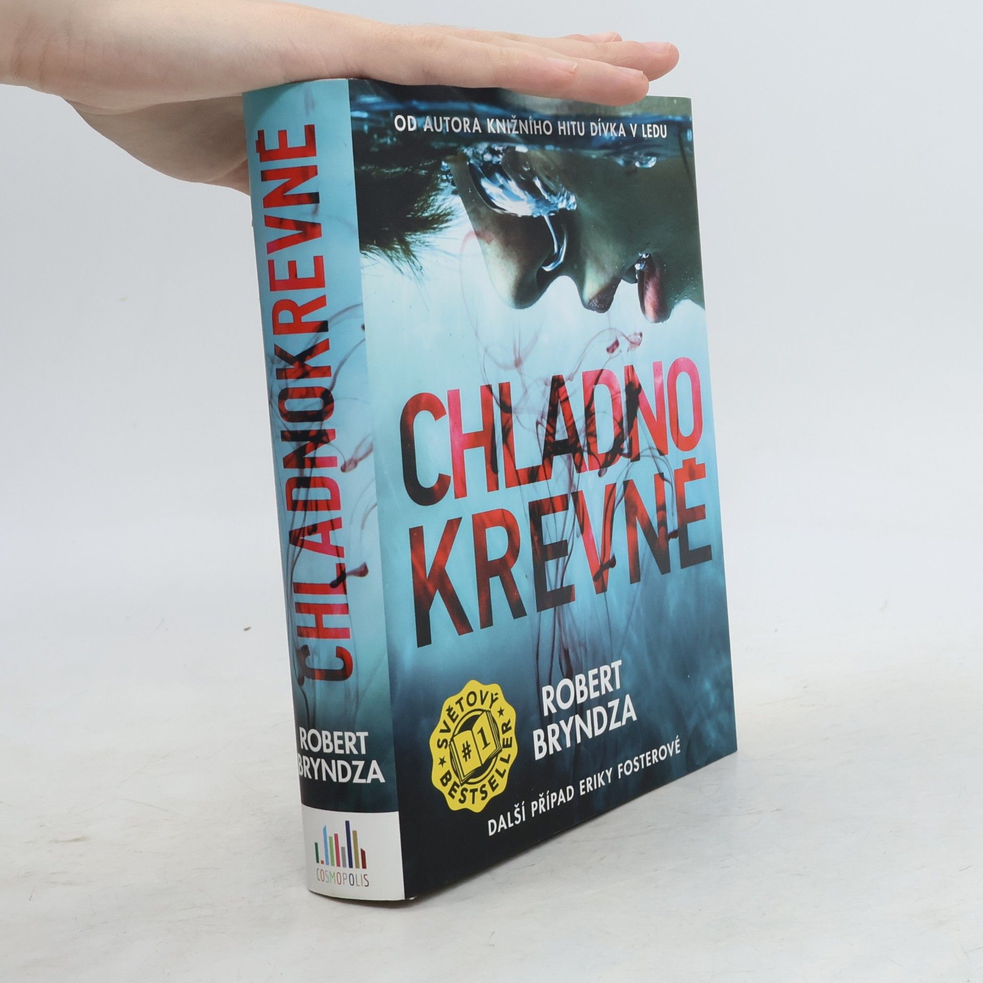 Robert Bryndza Chladnokrevně