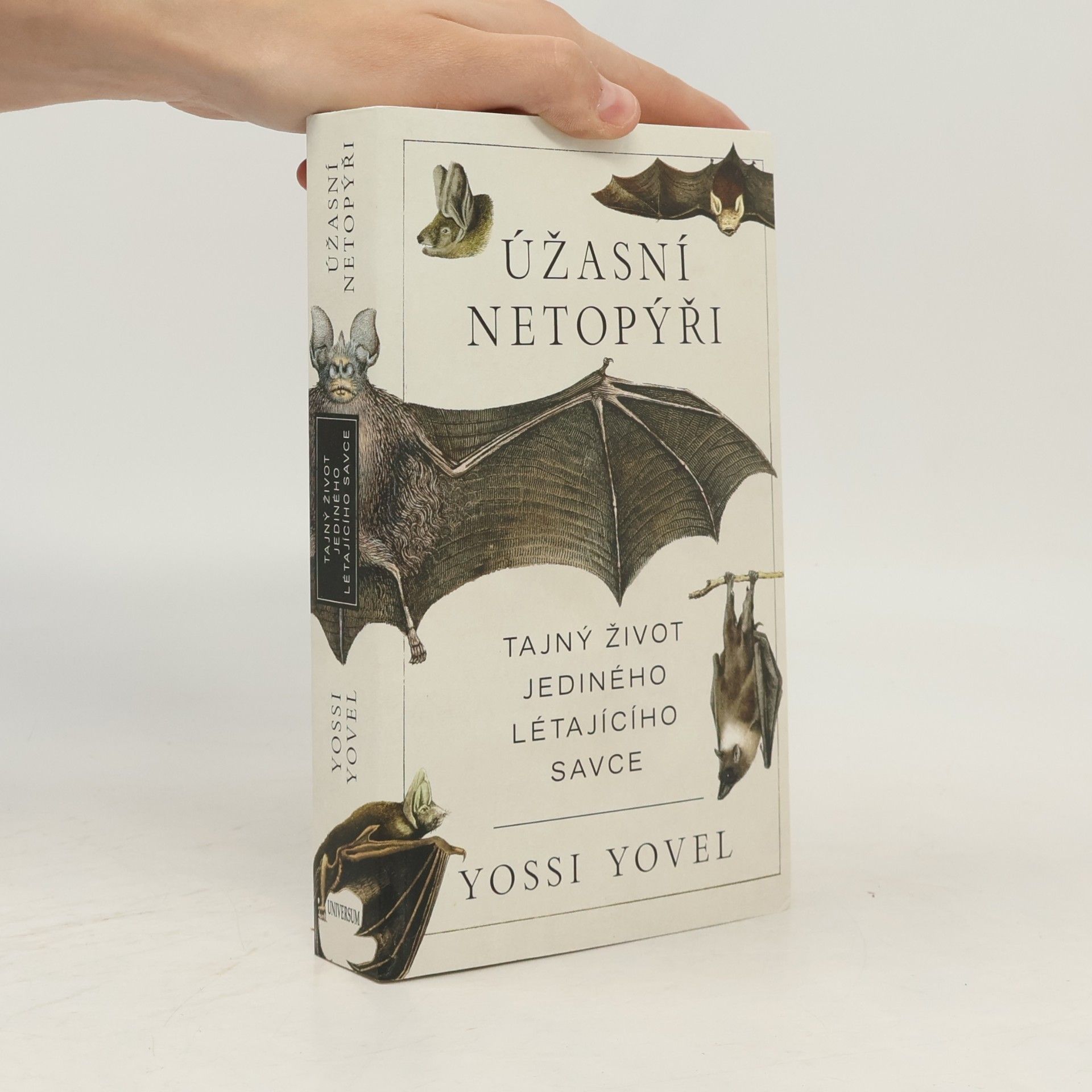Yossi Yovel Úžasný netopýr