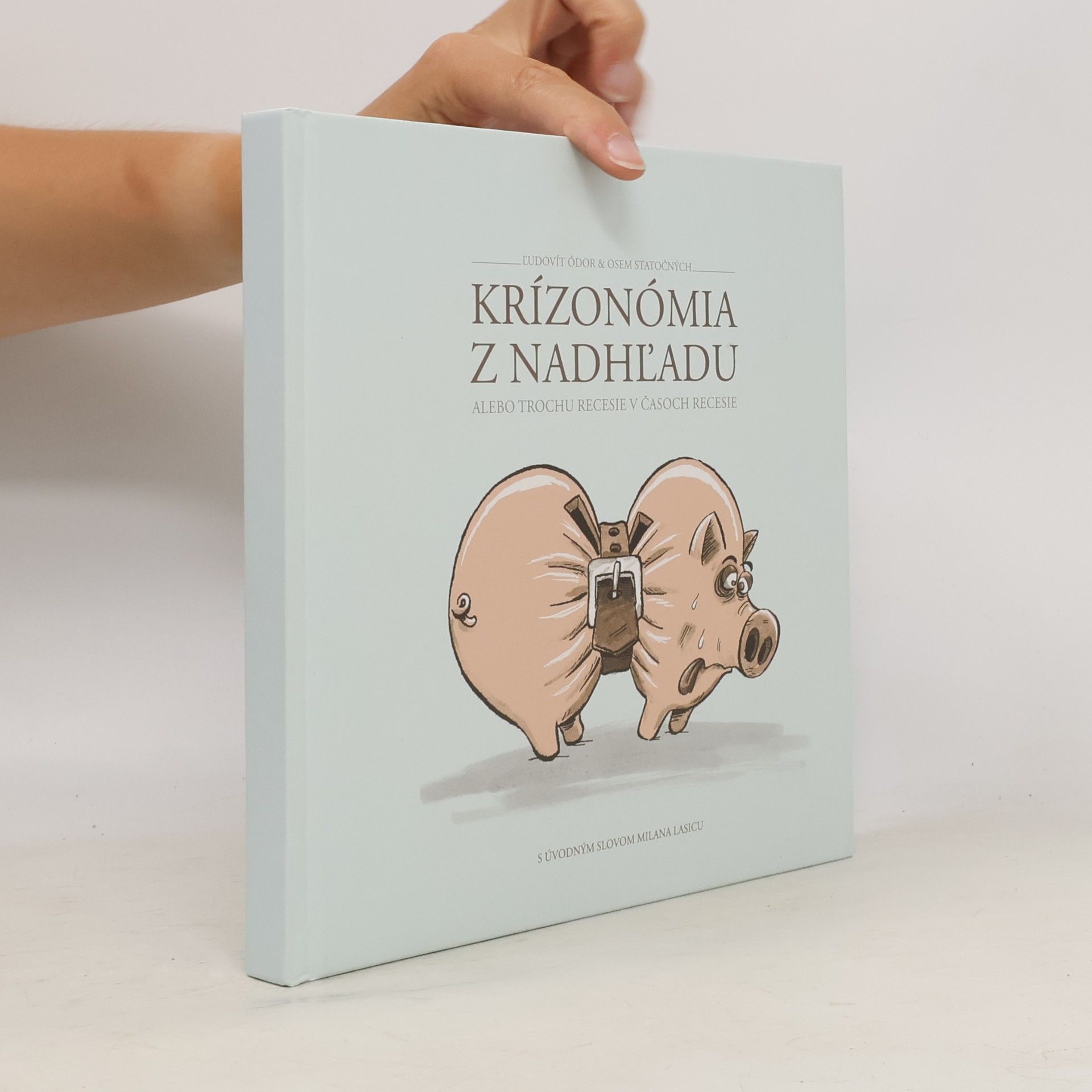 Krízonómia z nadhľadu alebo Trochu recesie v časoch recesie