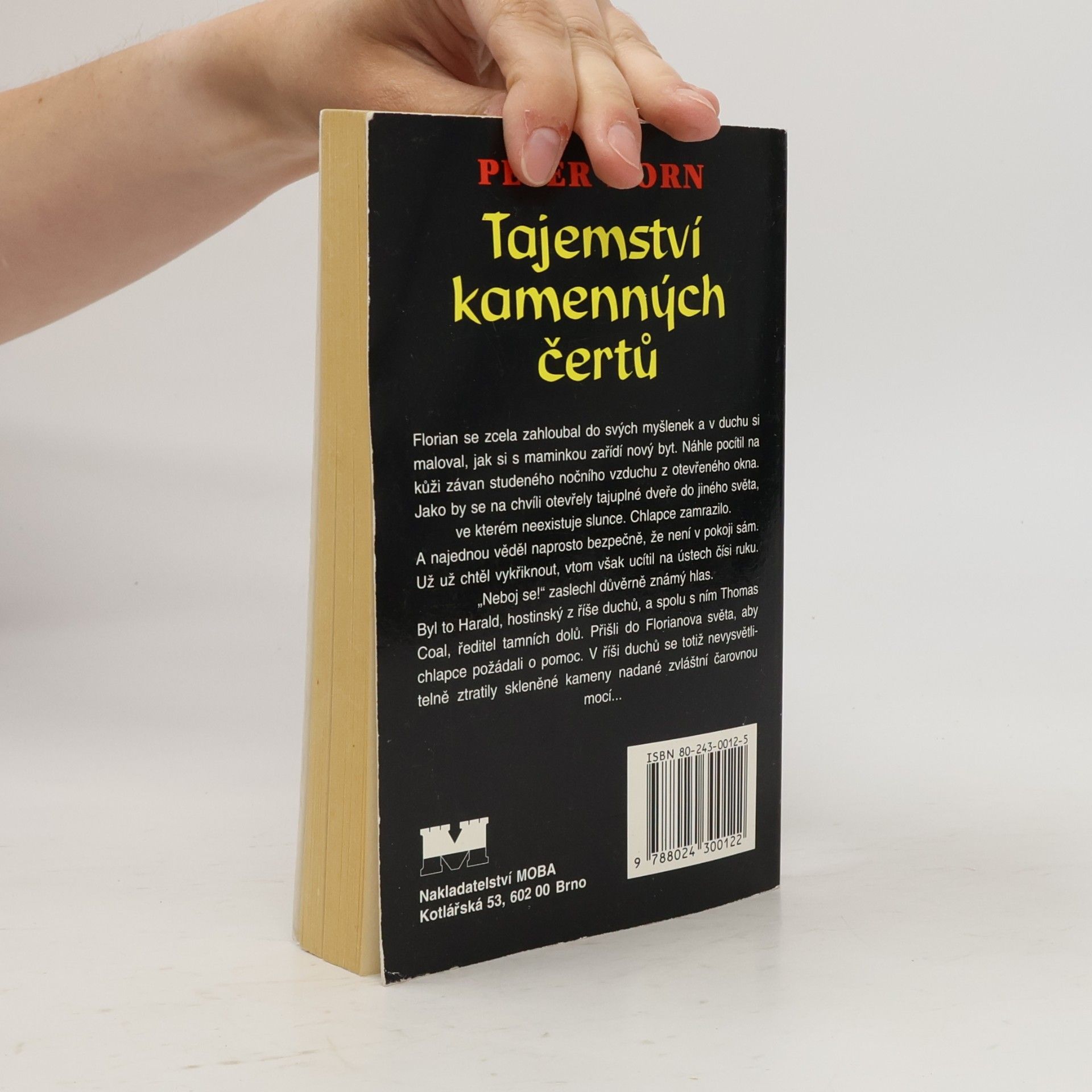 František Ryčl Florian ve světě duchů: Tajemství kamenných čertů