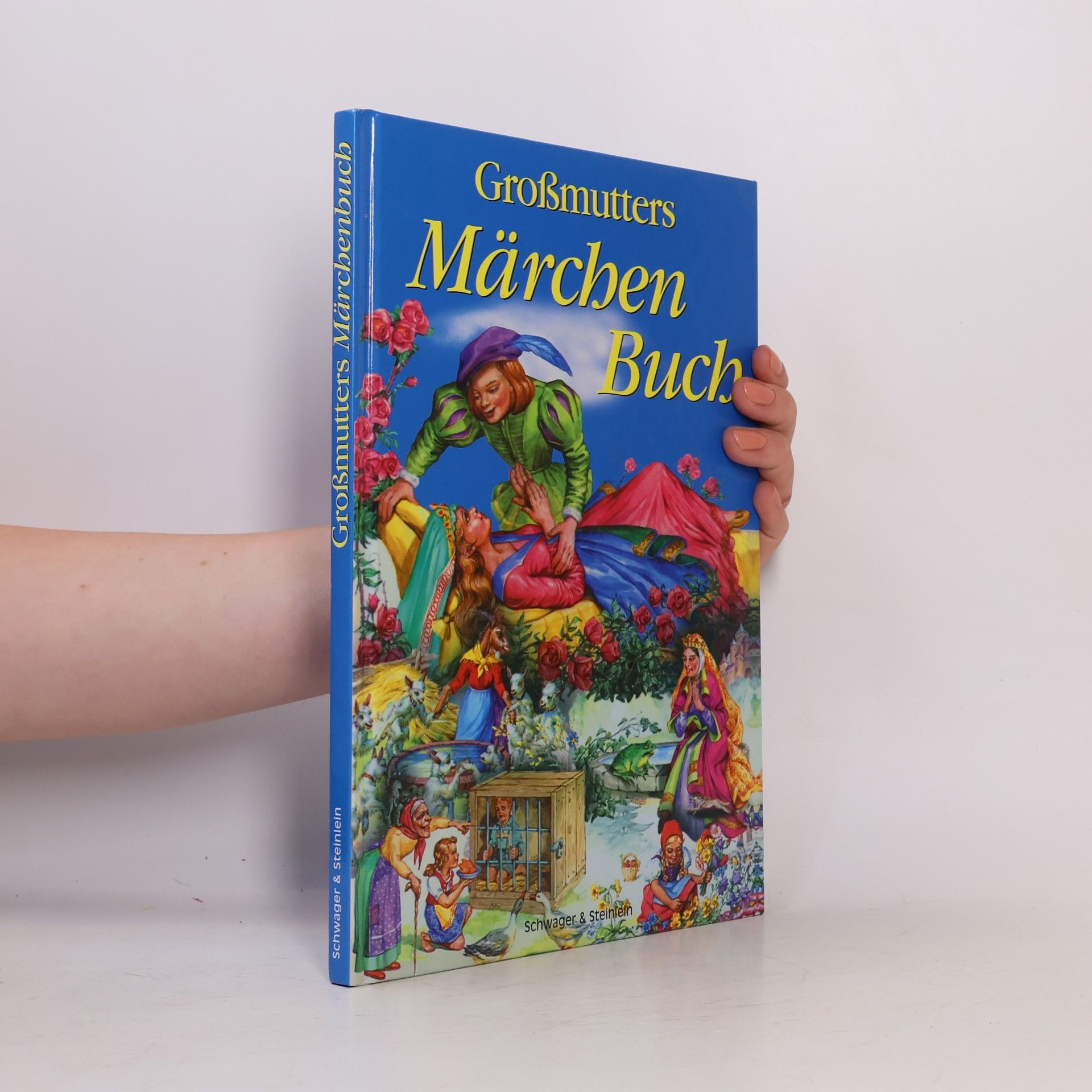 Kolektiv autorů Großmutters Märchenbuch