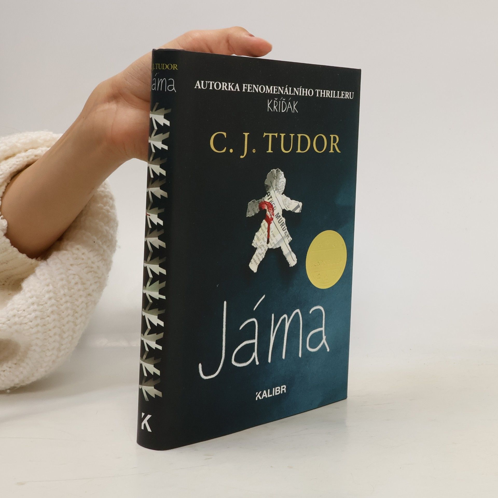 C.J. Tudor Jáma