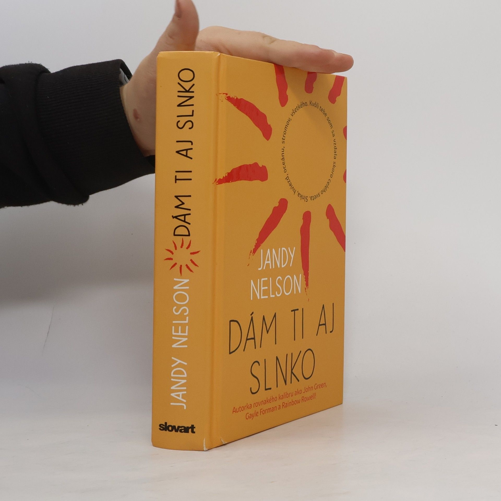 Jandy Nelson Dám ti aj slnko