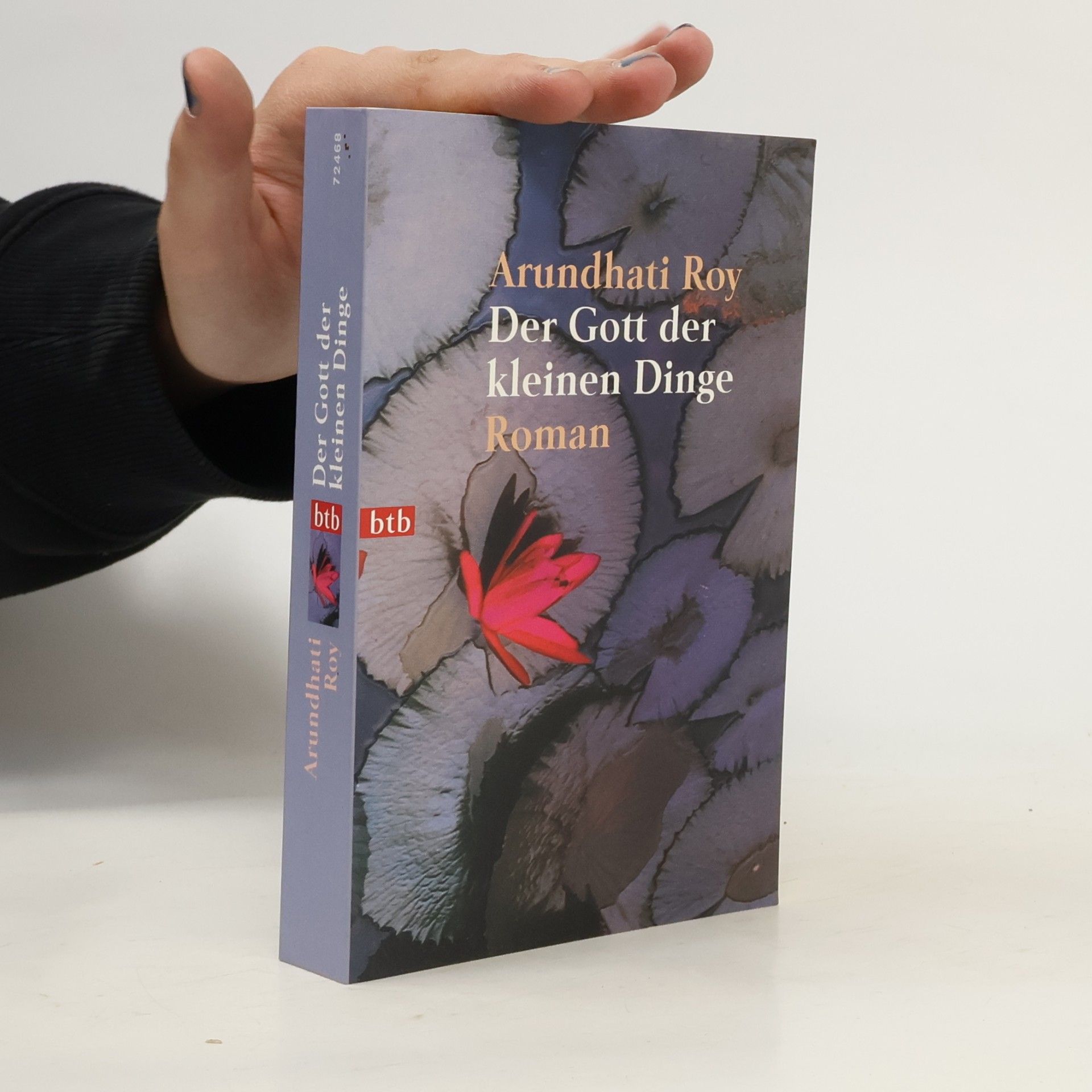 Arundhati Roy Der Gott der kleinen Dinge