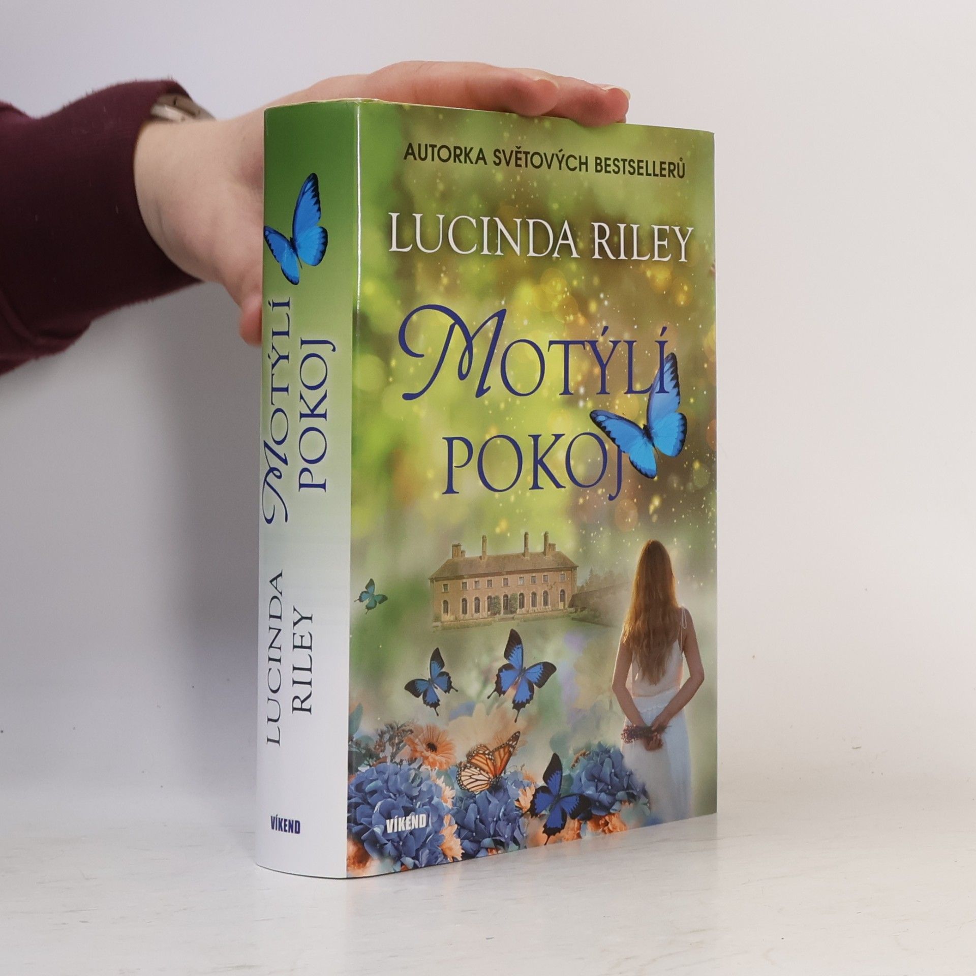 Motýlí pokoj