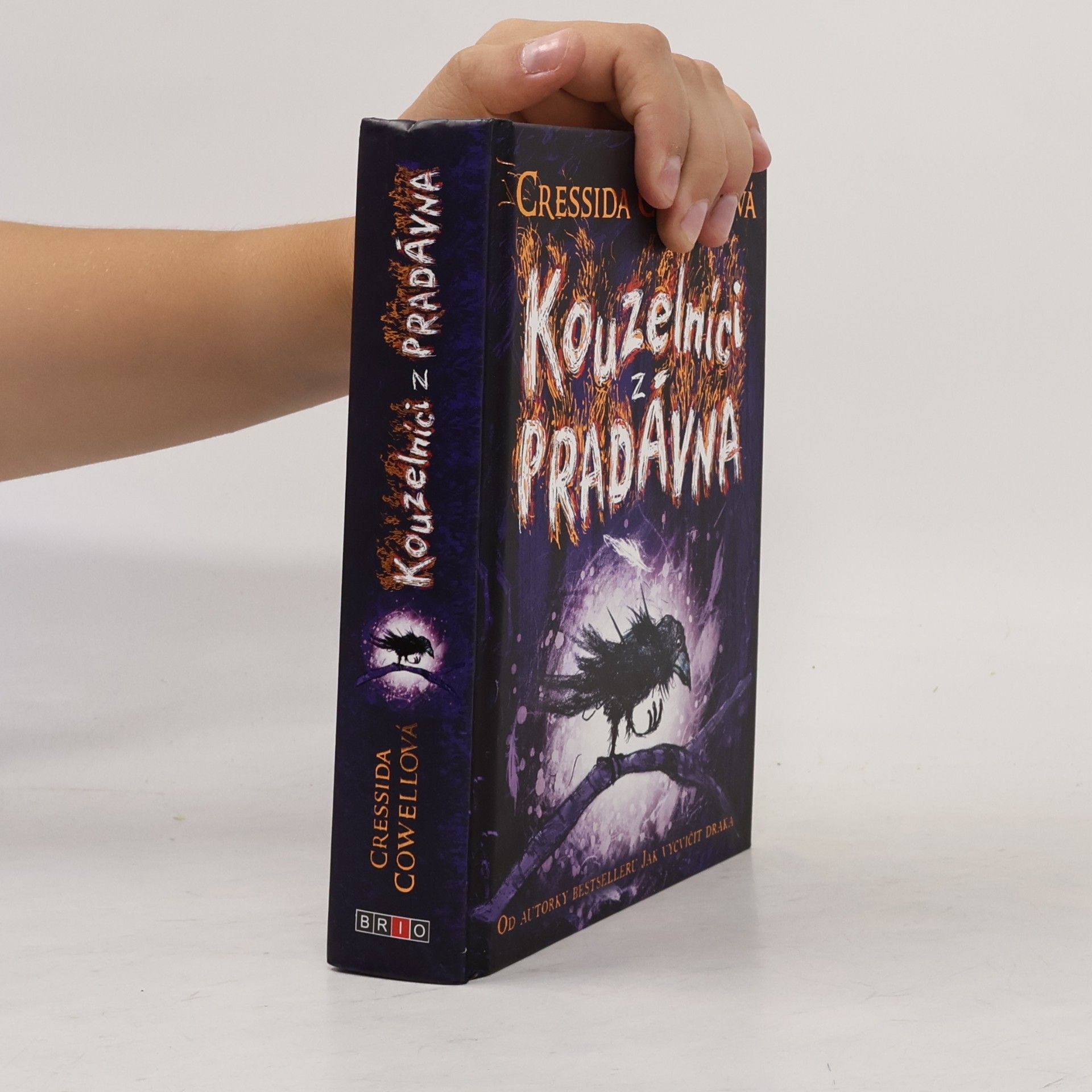 Cressida Cowell Kouzelníci z pradávna