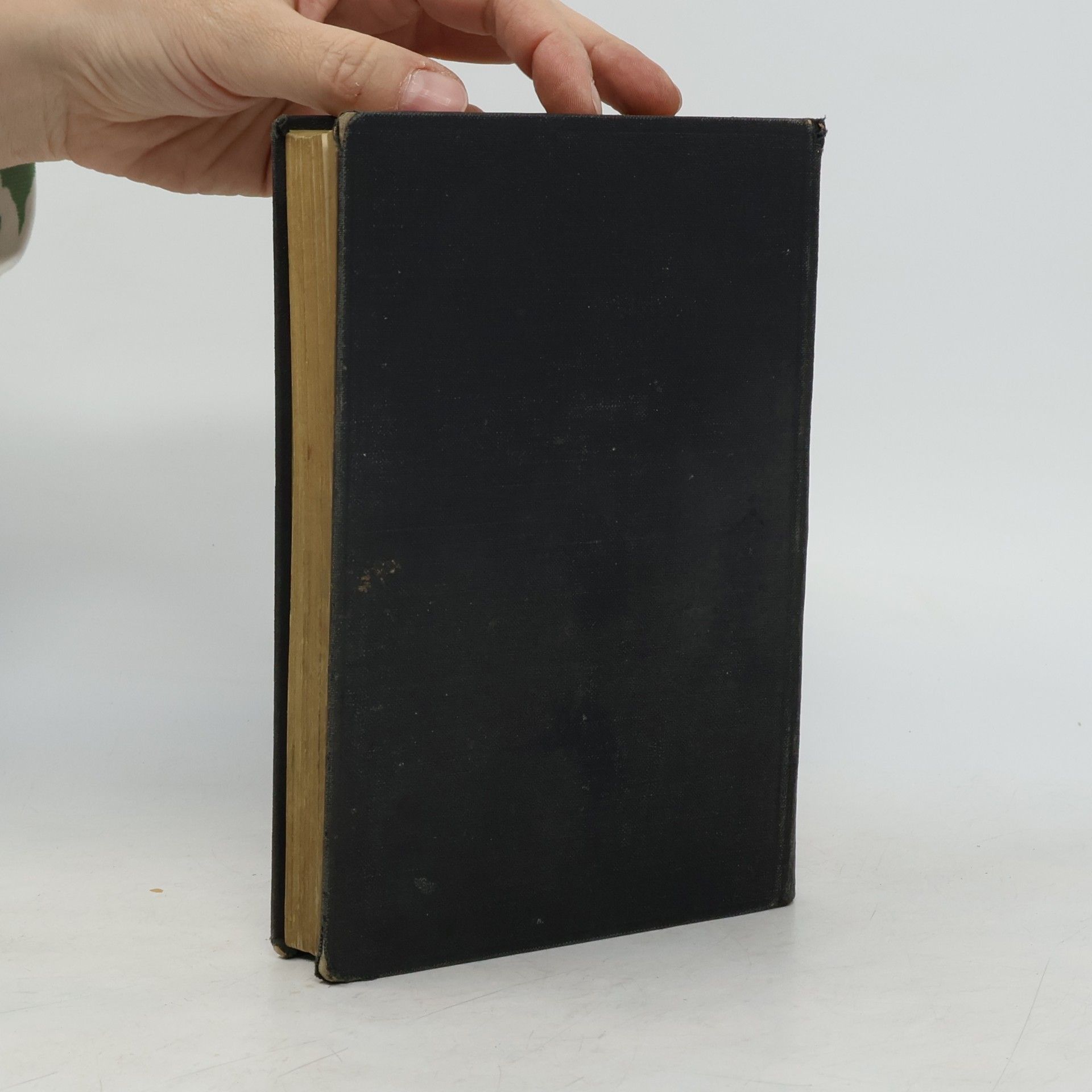 kolektiv Die Episteln und Evangelien auf alle Sonn und Festtage