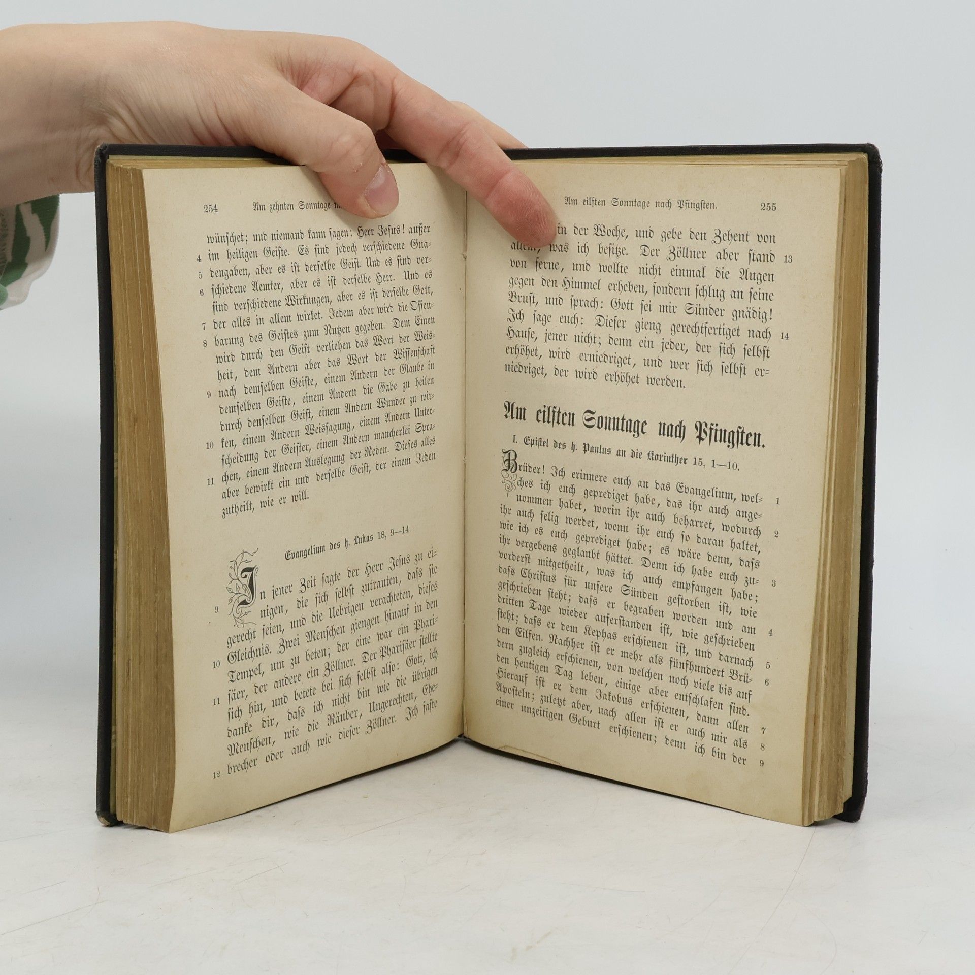 kolektiv Die Episteln und Evangelien auf alle Sonn und Festtage