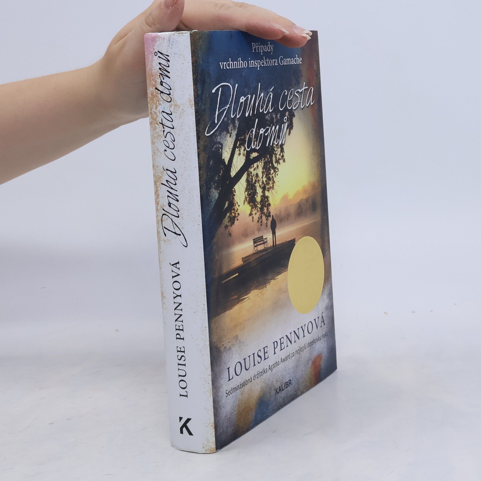 Louise Penny Dlouhá cesta domů