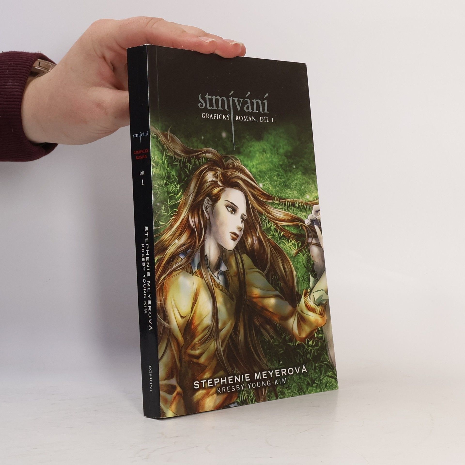 Stephenie Meyer Stmívání: Grafický román