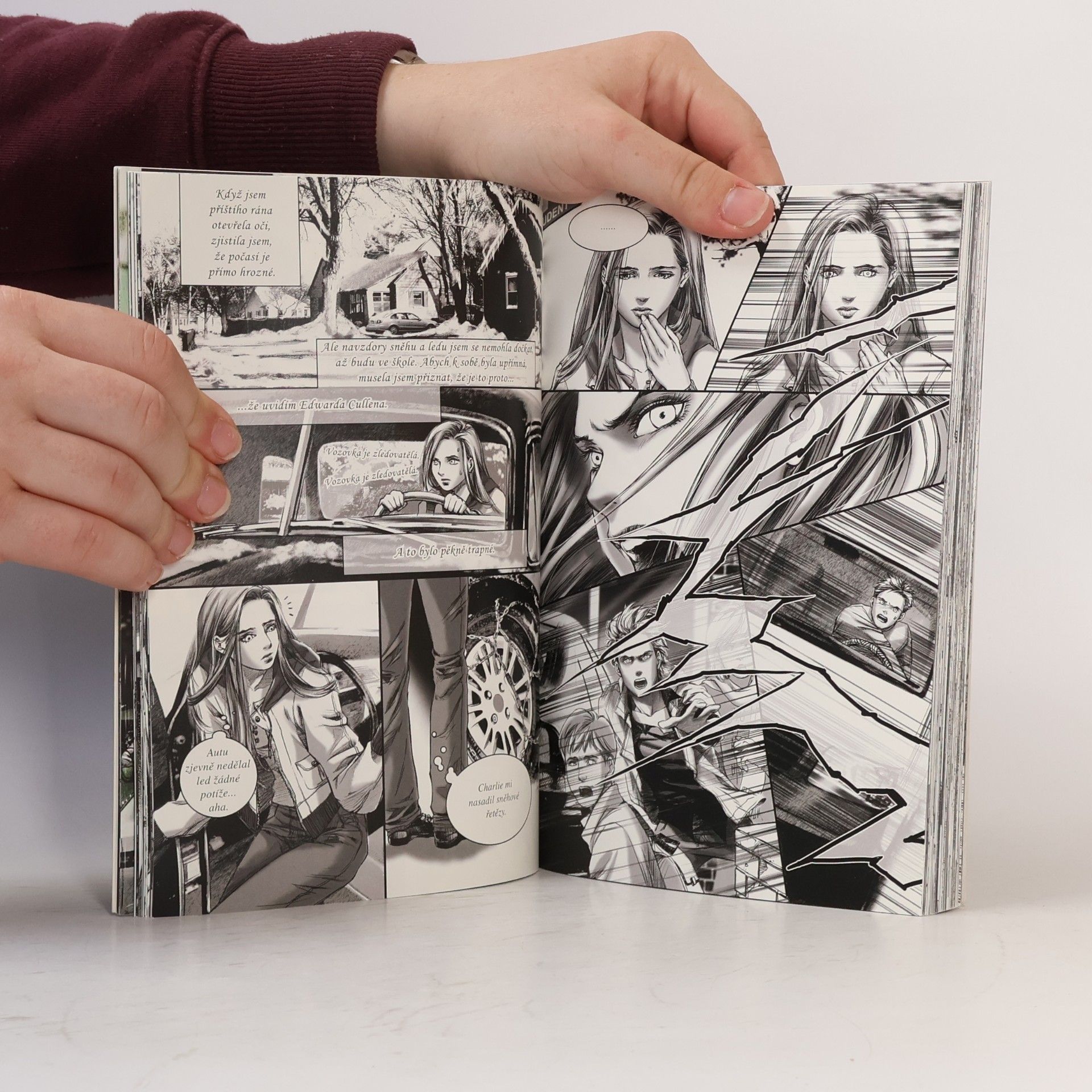 Stephenie Meyer Stmívání: Grafický román