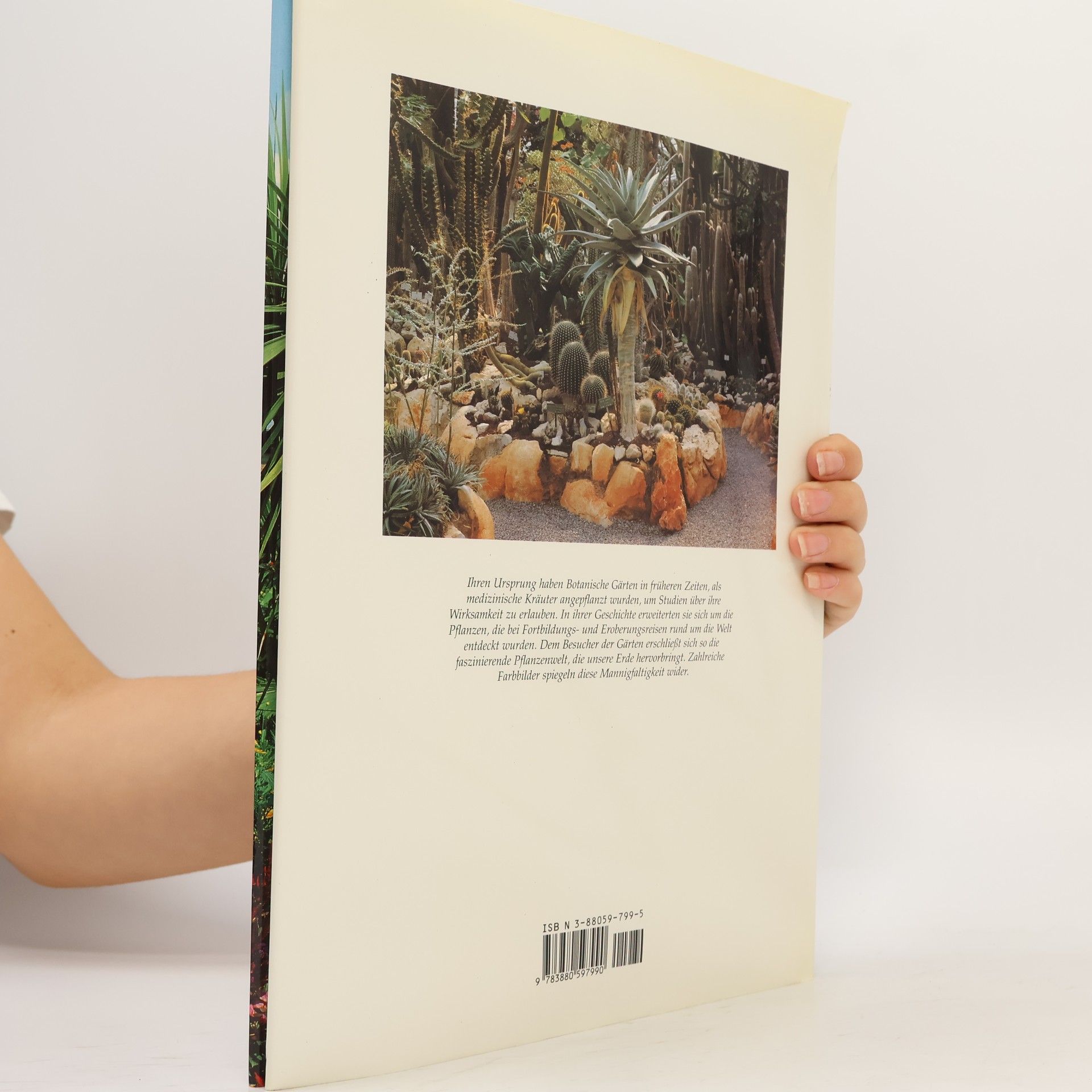 Nicky den Hartogh Botanische Gärten