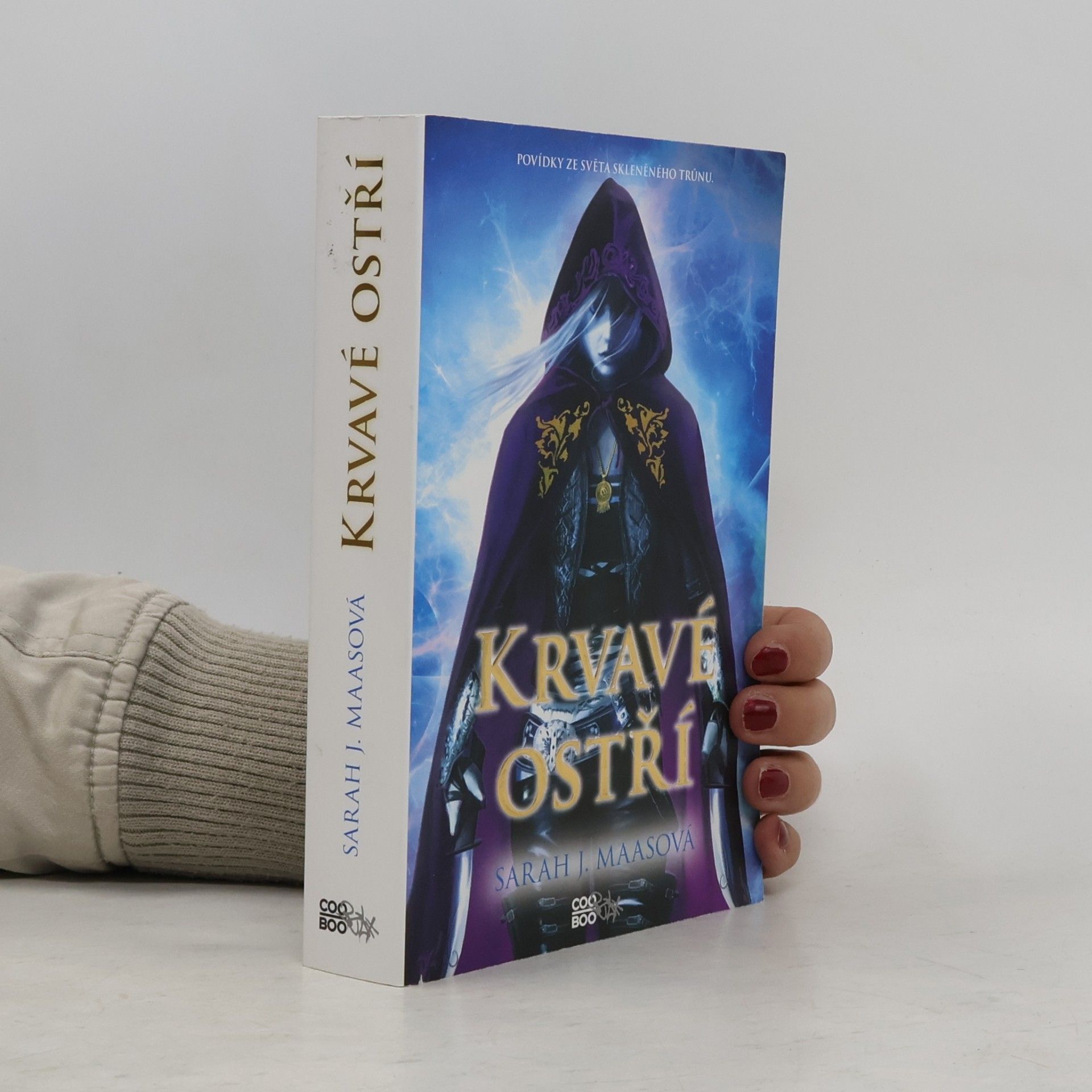 Sarah J. Maas Krvavé ostří
