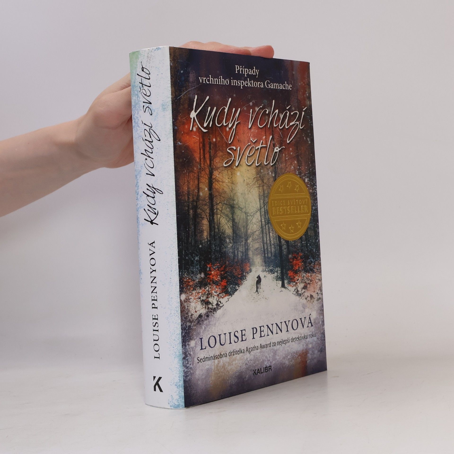 Louise Penny Kudy vchází světlo