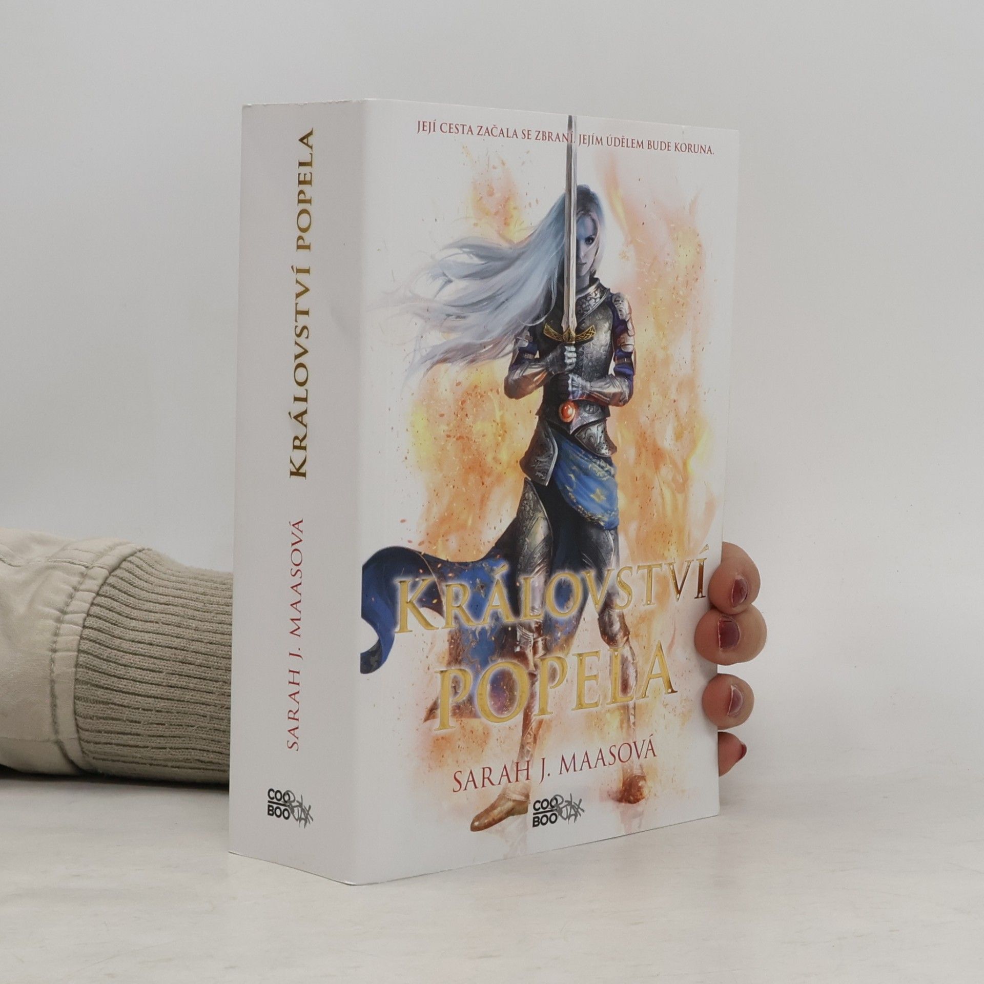Sarah J. Maas Království popela